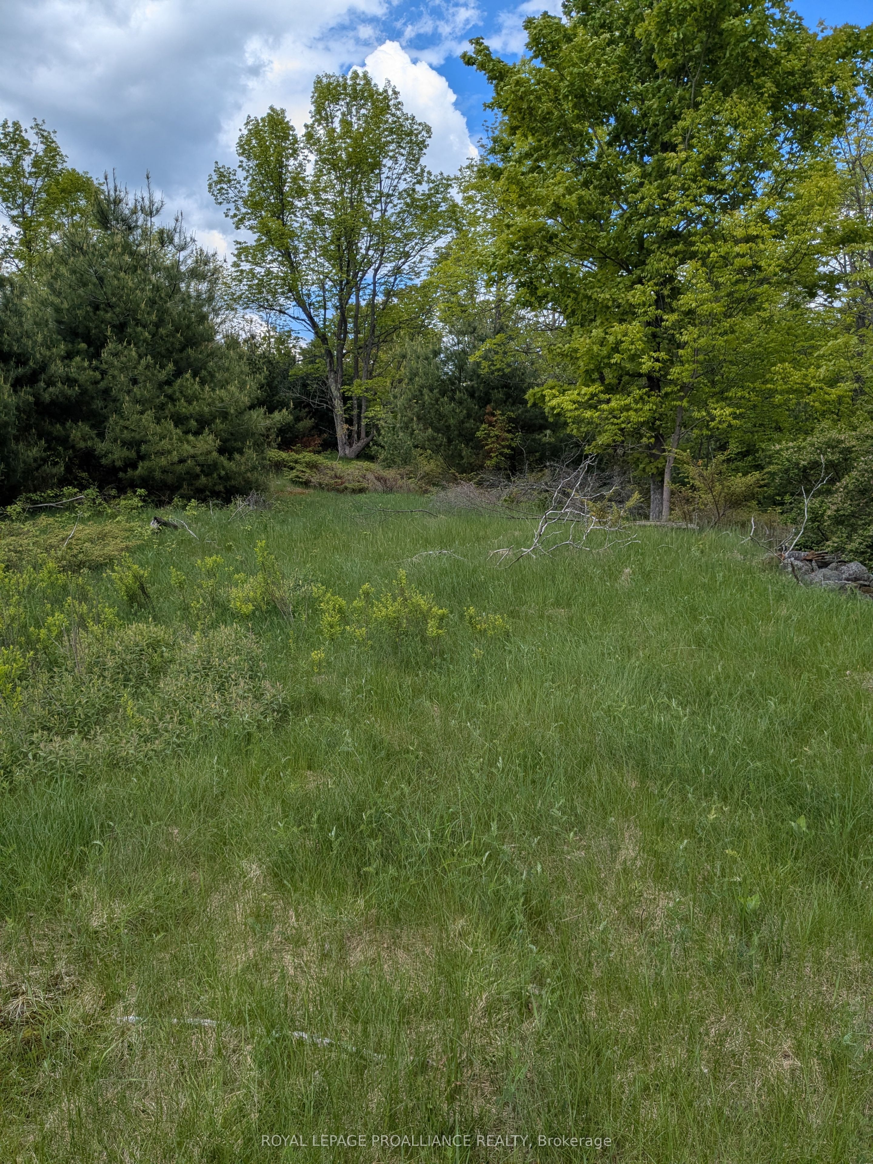 0000 Highway 7 N/a Property Photo 15