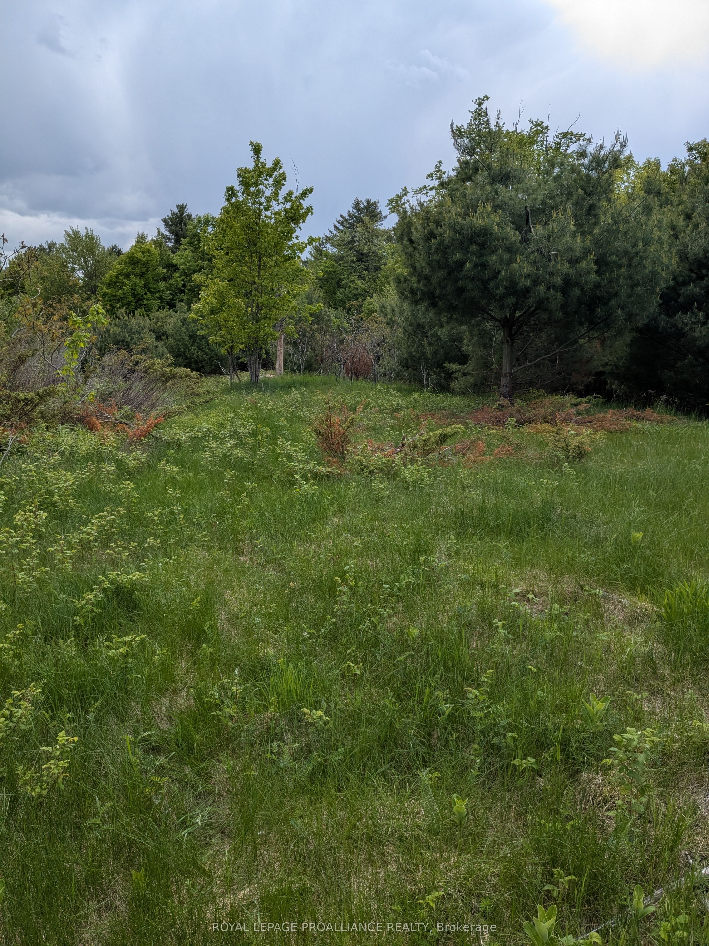 0000 Highway 7 N/a Property Photo 16
