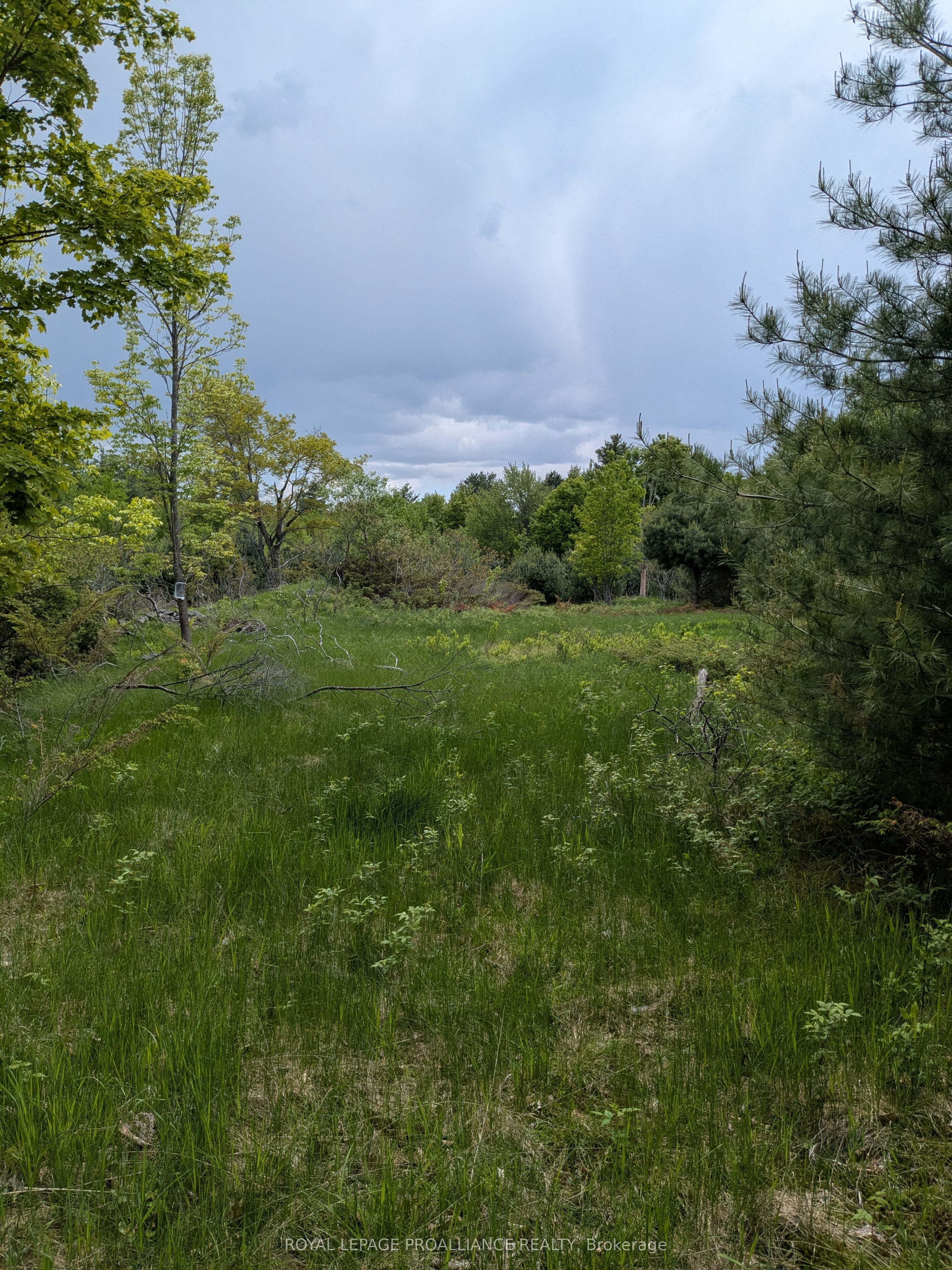 0000 Highway 7 N/a Property Photo 18