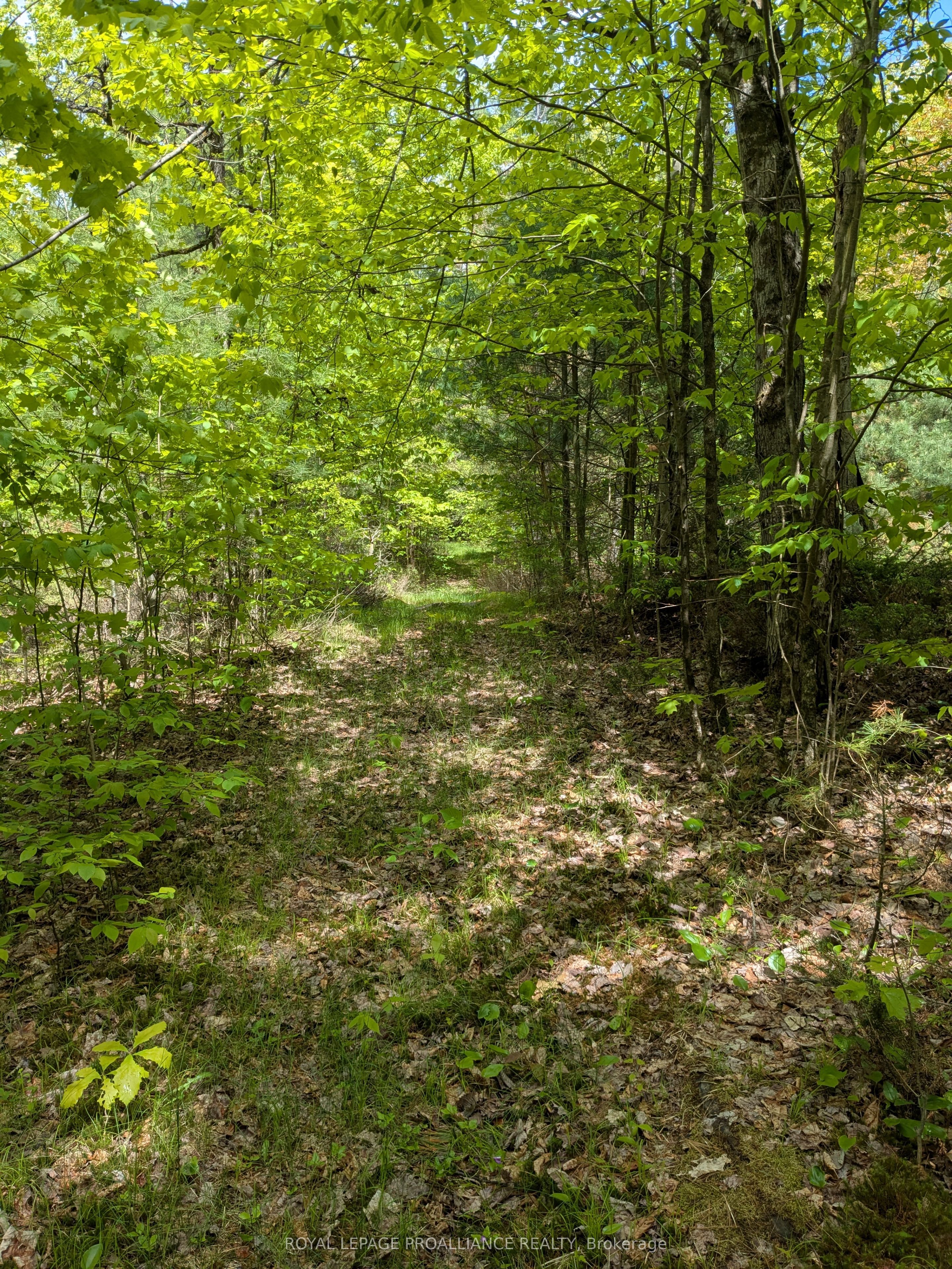 0000 Highway 7 N/a Property Photo 19
