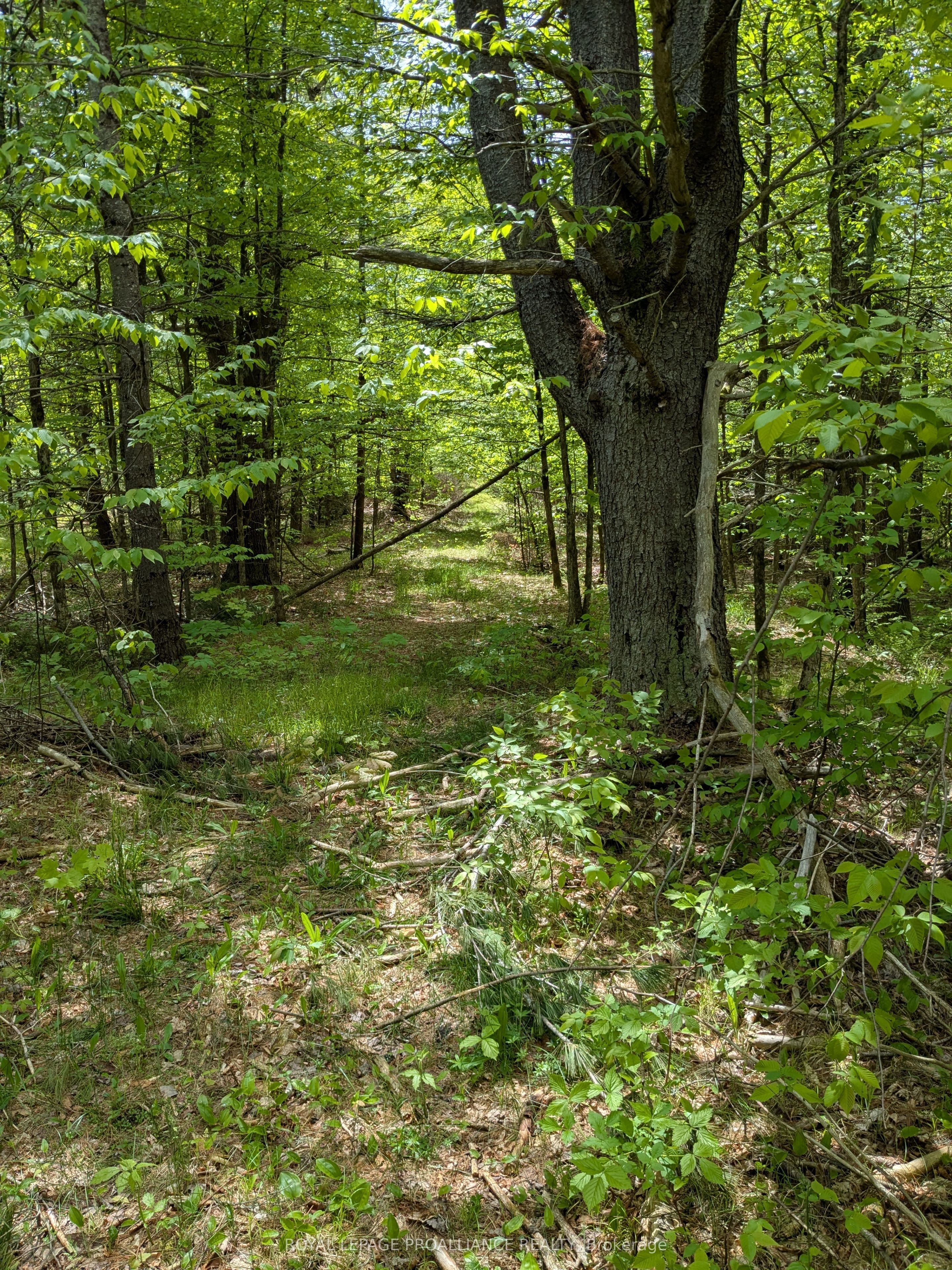 0000 Highway 7 N/a Property Photo 20