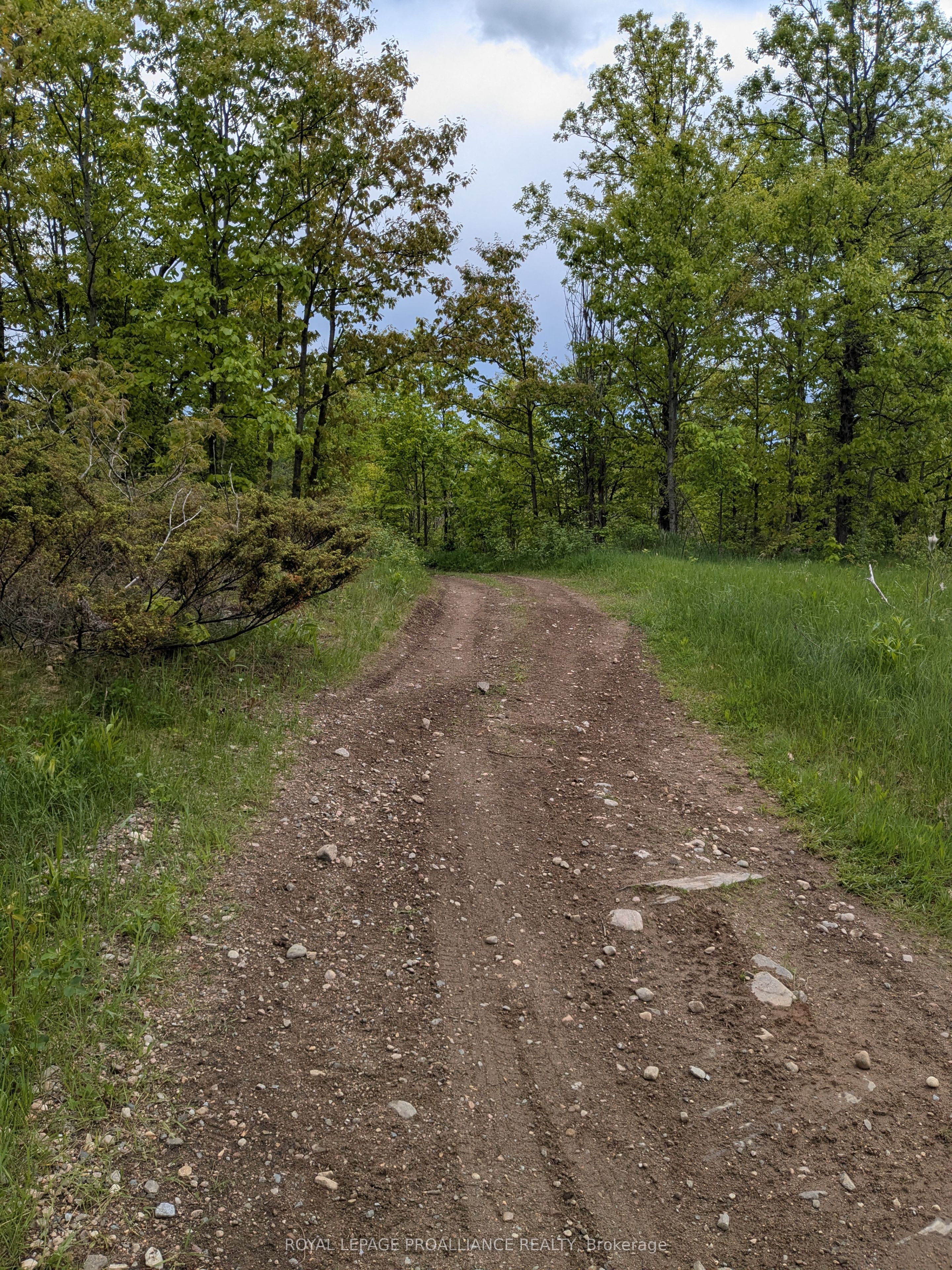 0000 Highway 7 N/a Property Photo 28