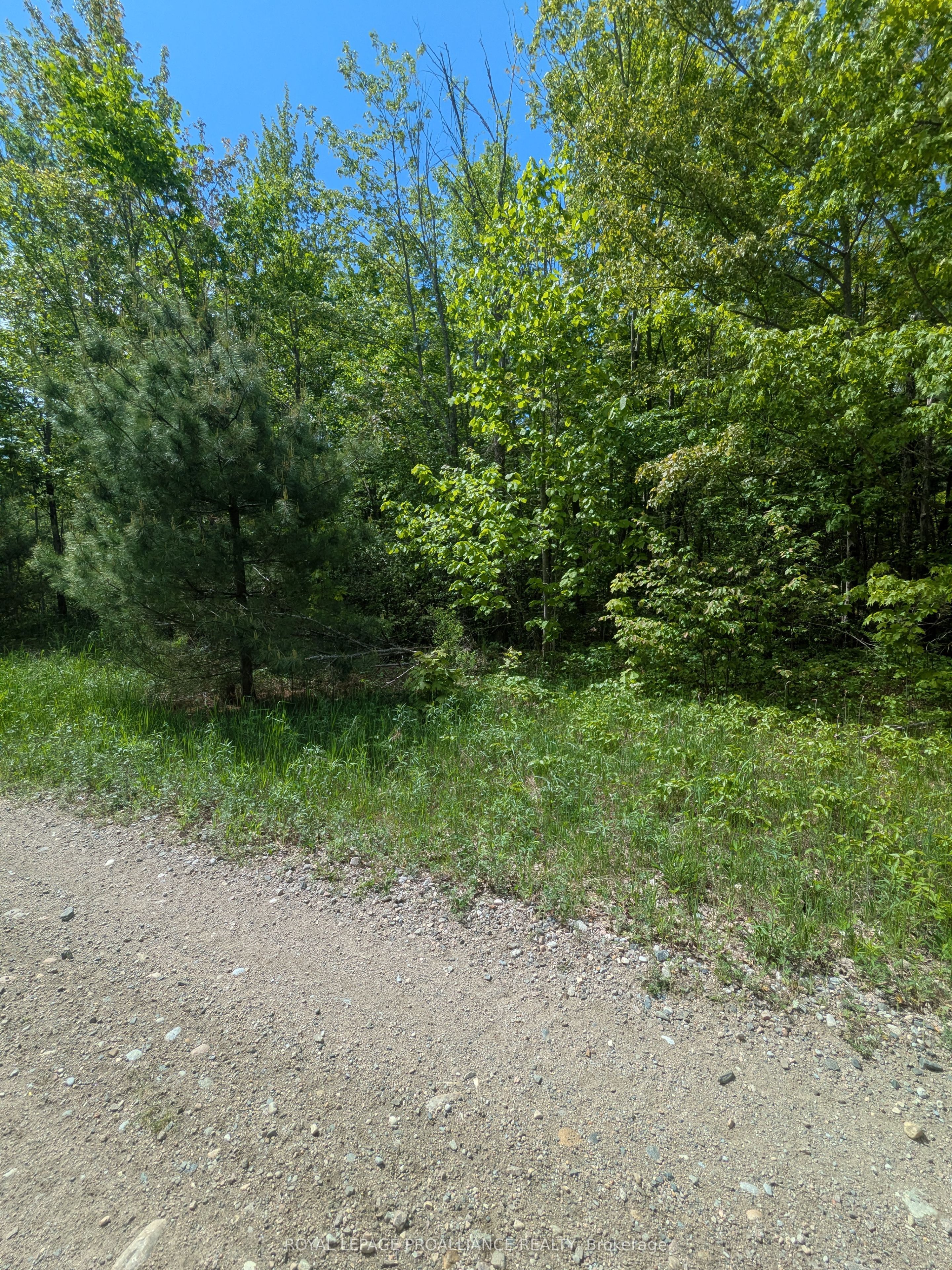 0000 Highway 7 N/a Property Photo 33