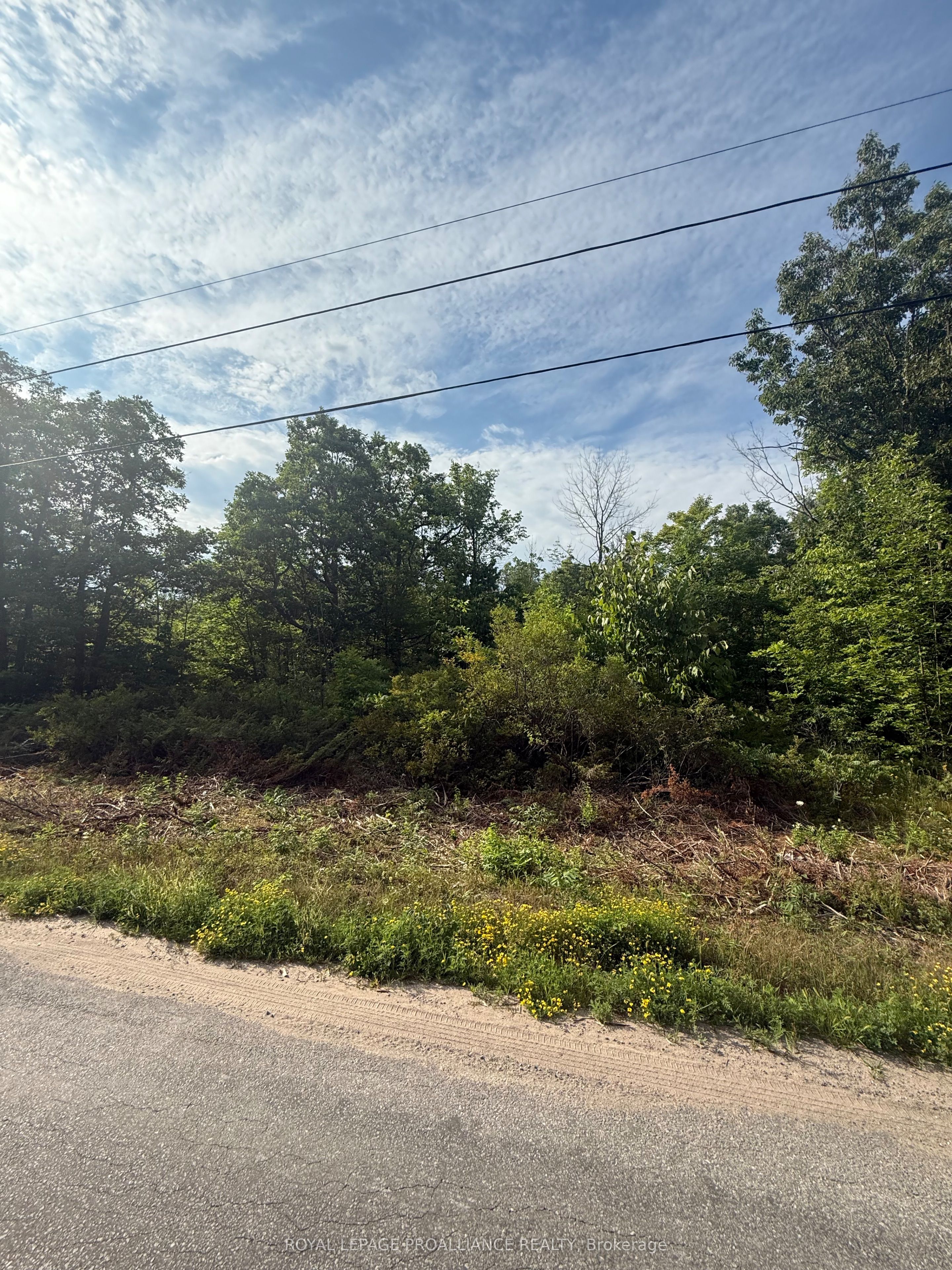 0 Rockhaven Road Property Photo 1