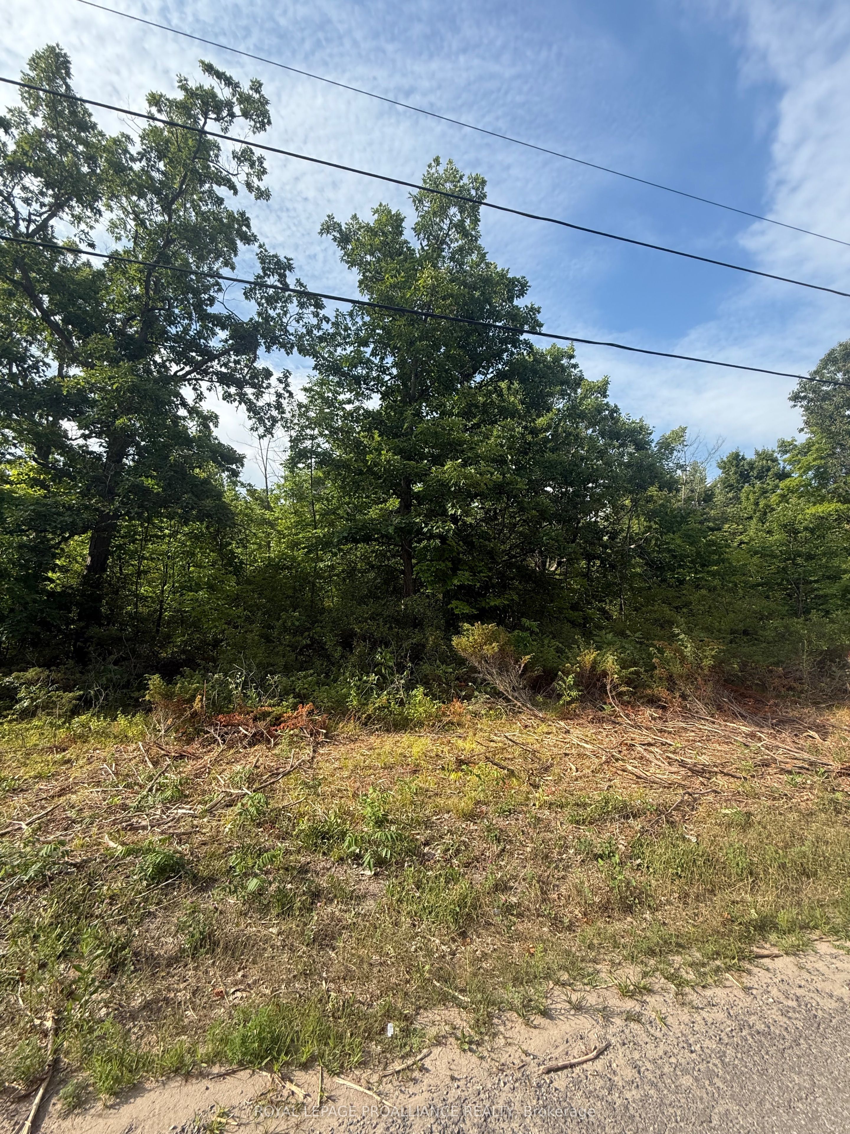 0 Rockhaven Road Property Photo 2