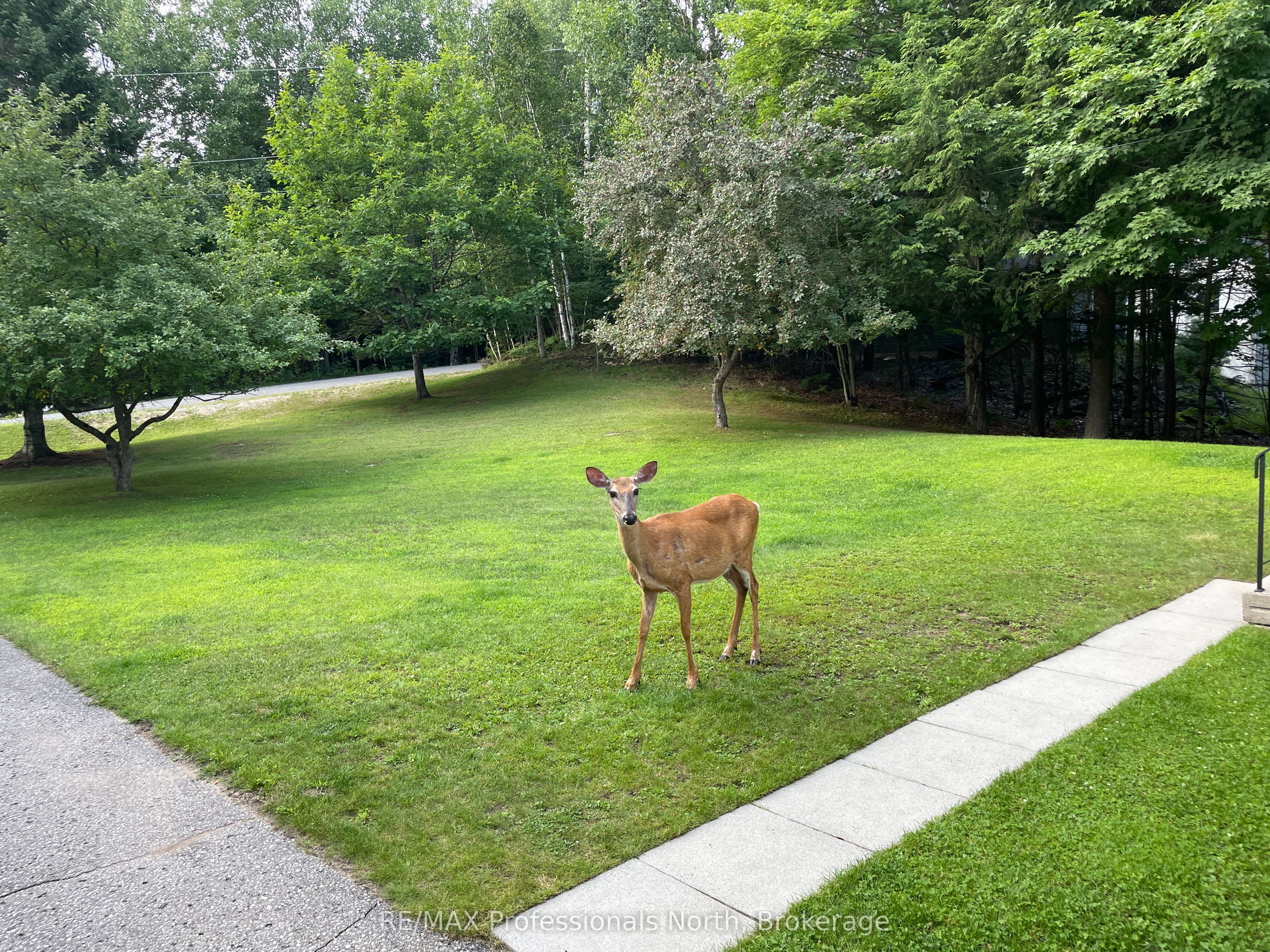 22 Mulholland Drive Property Photo 17