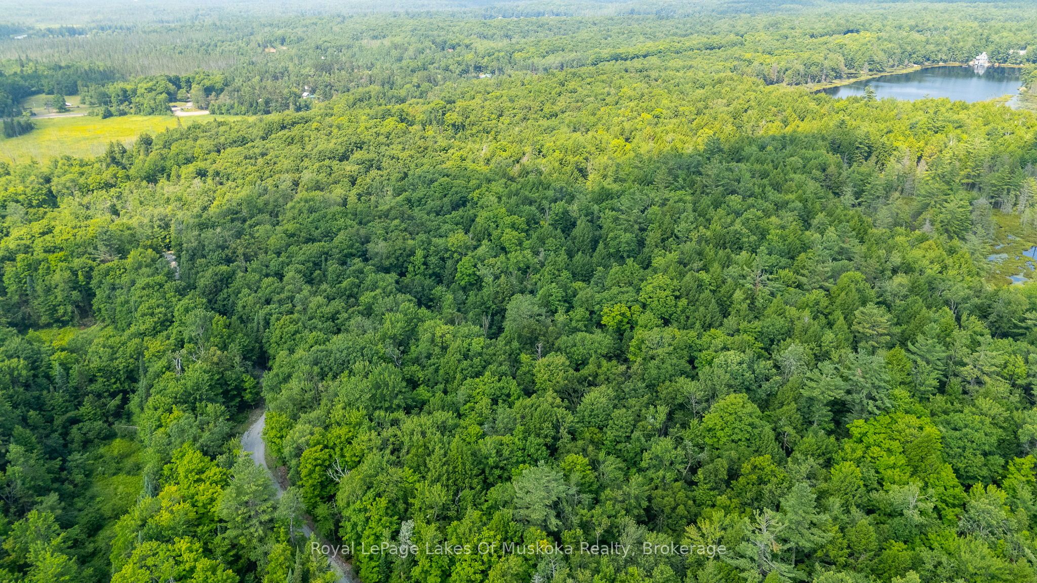 0 Prospect Lake Road Property Photo 6