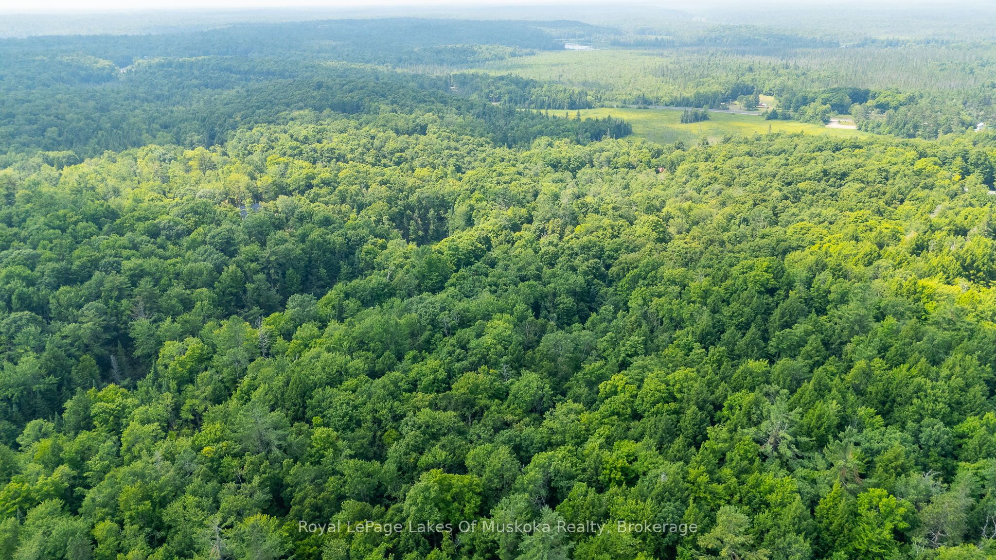 0 Prospect Lake Road Property Photo 7