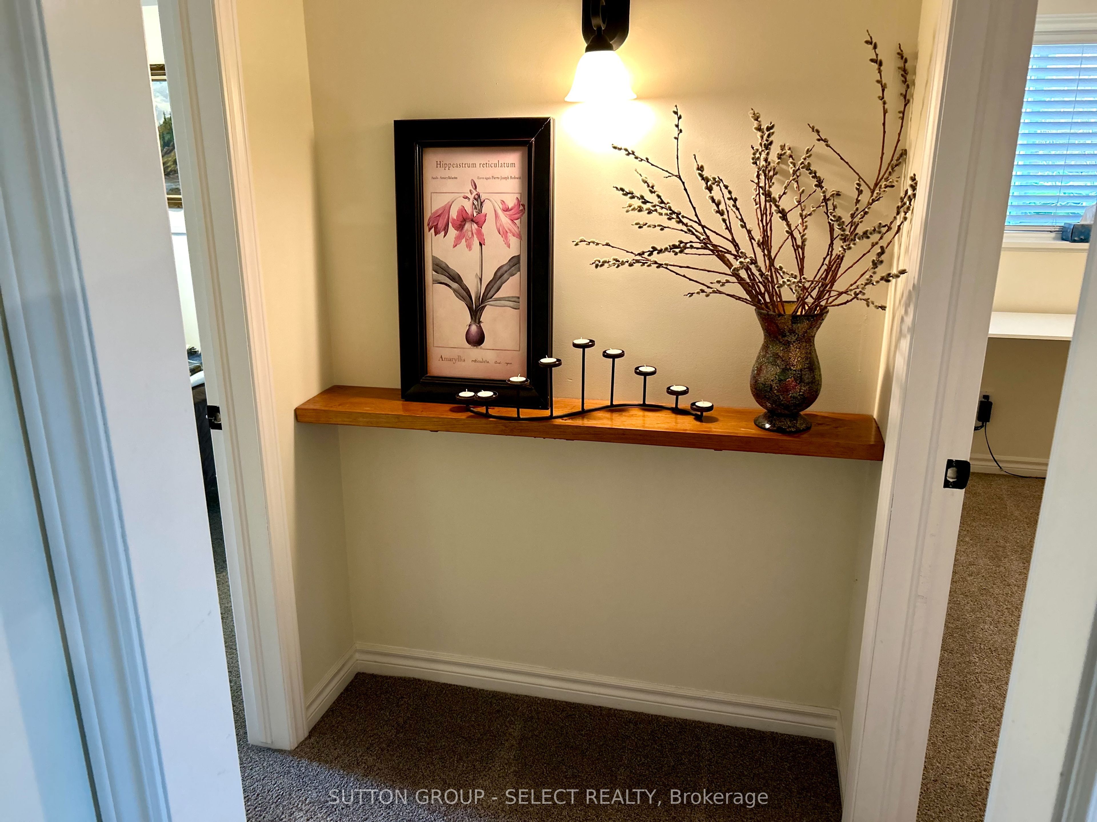 15 Hamilton Street Property Photo 23