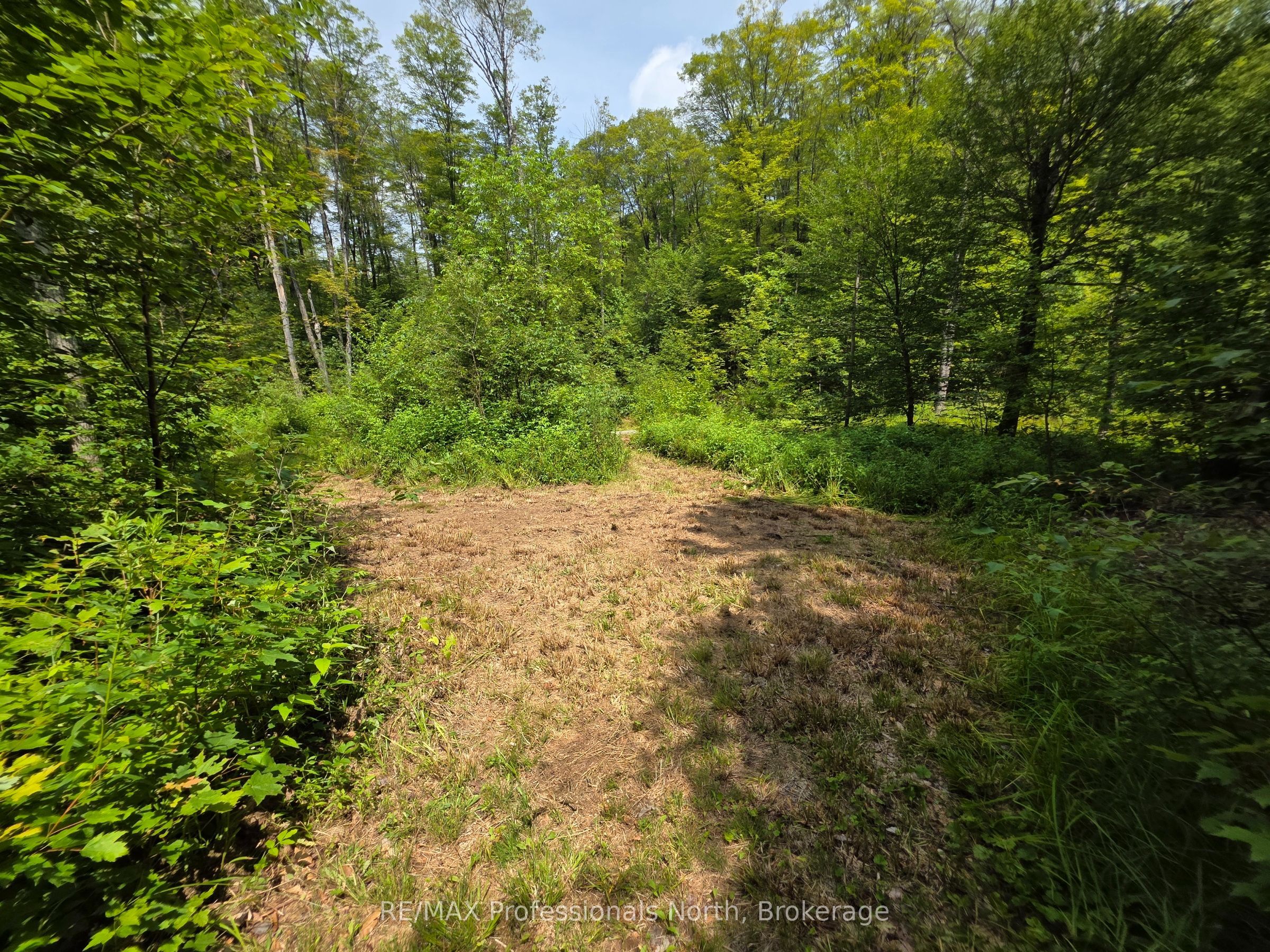 208 North Bay Lake Road Property Photo 29