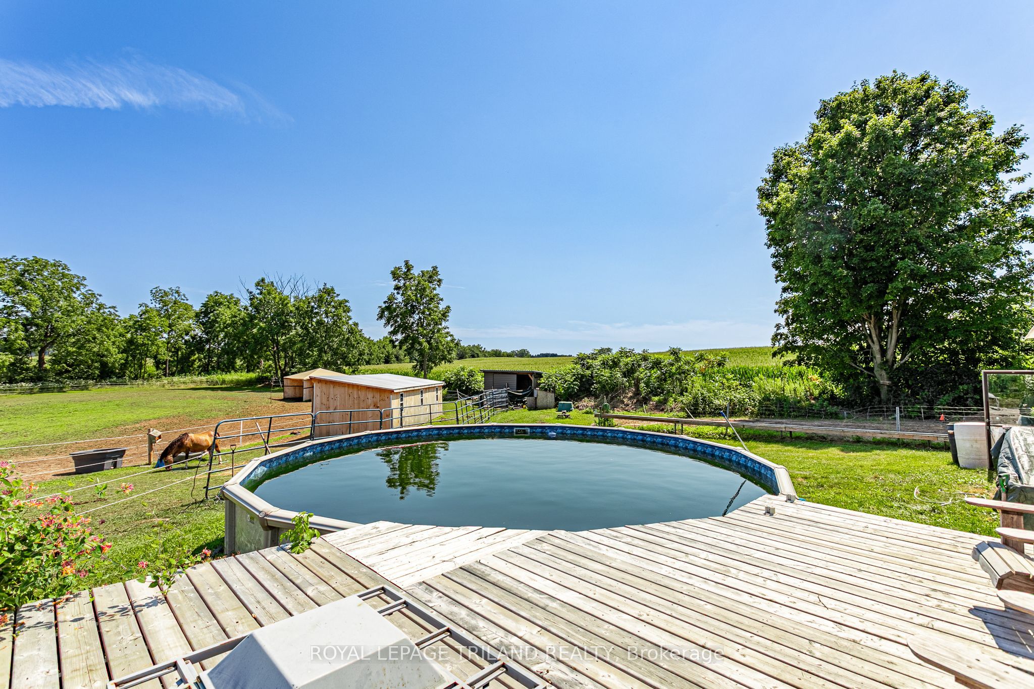 15240 Scott Line Property Photo 35