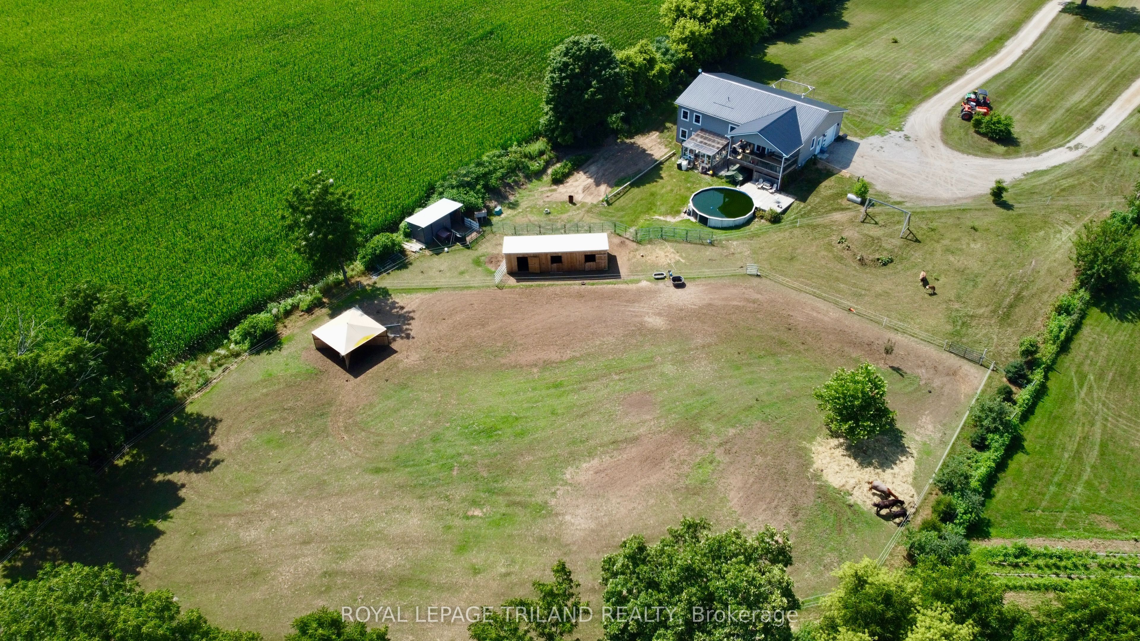 15240 Scott Line Property Photo 42