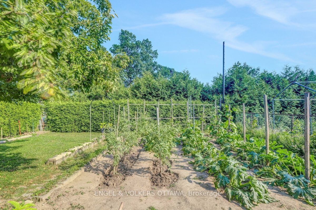 28a Ashburn Drive Property Photo 32