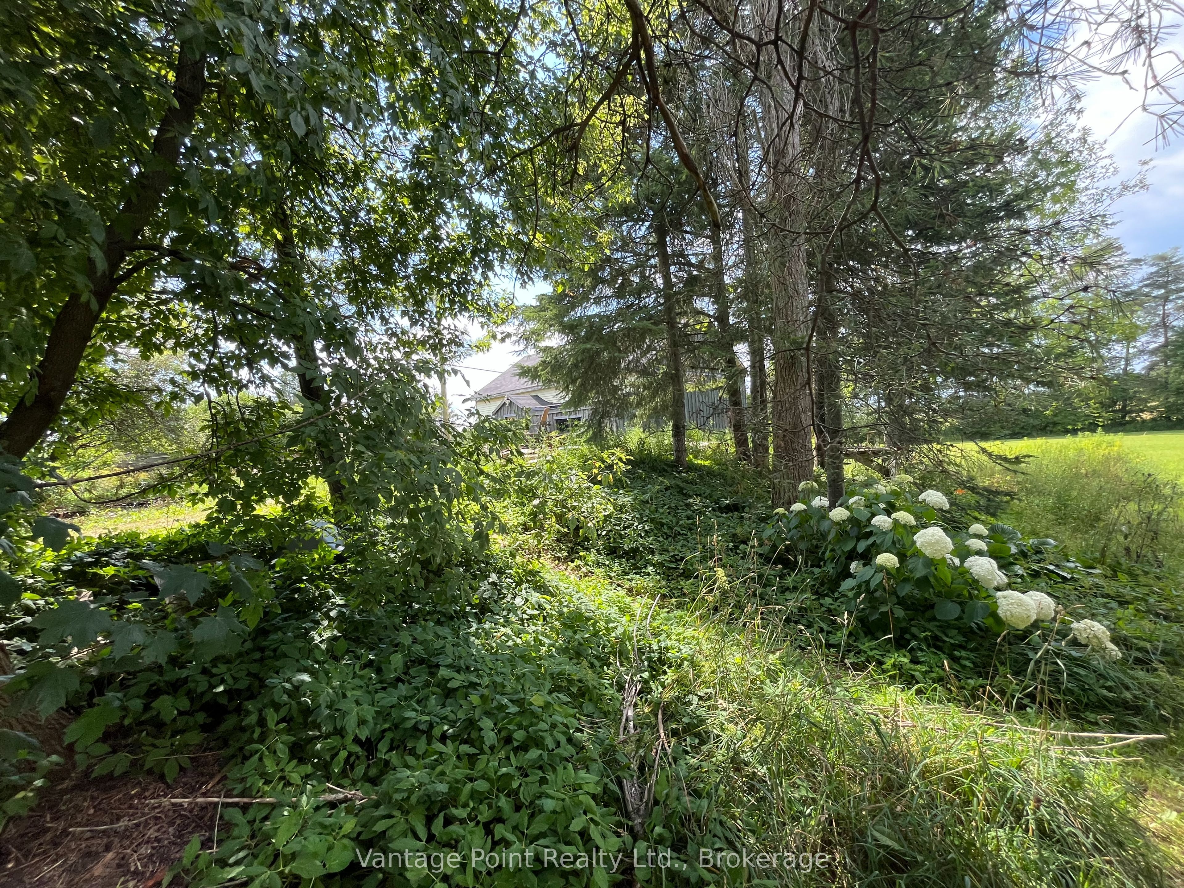 560335 70 Side Road Property Photo 21