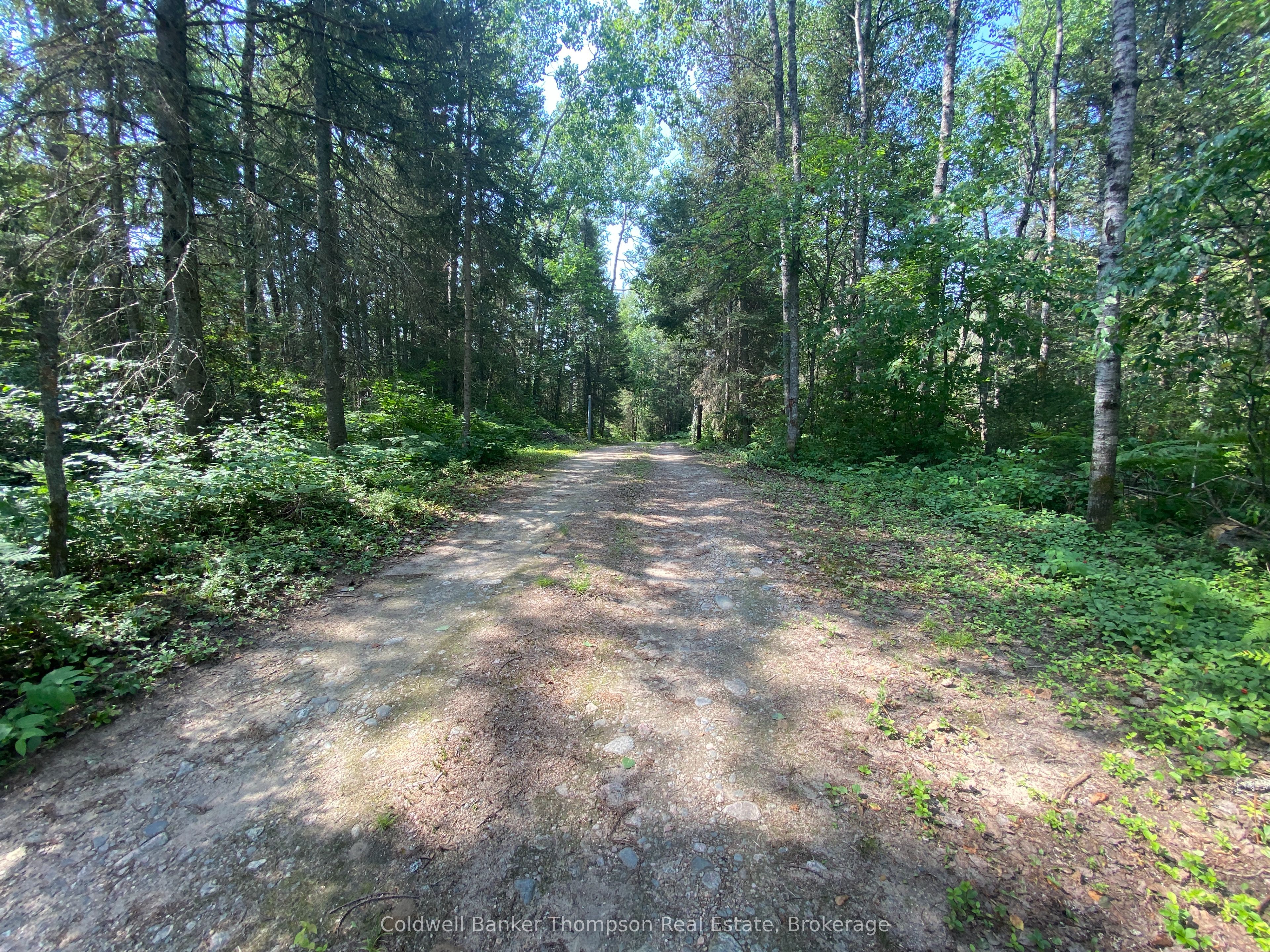 183 Sandhill Road Property Photo 35