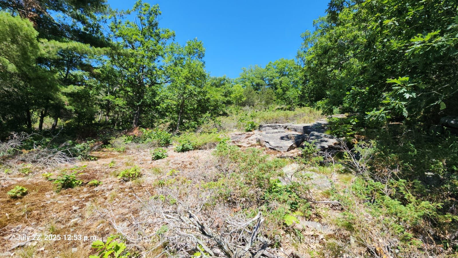 320 O'hara Point Road Property Photo 25