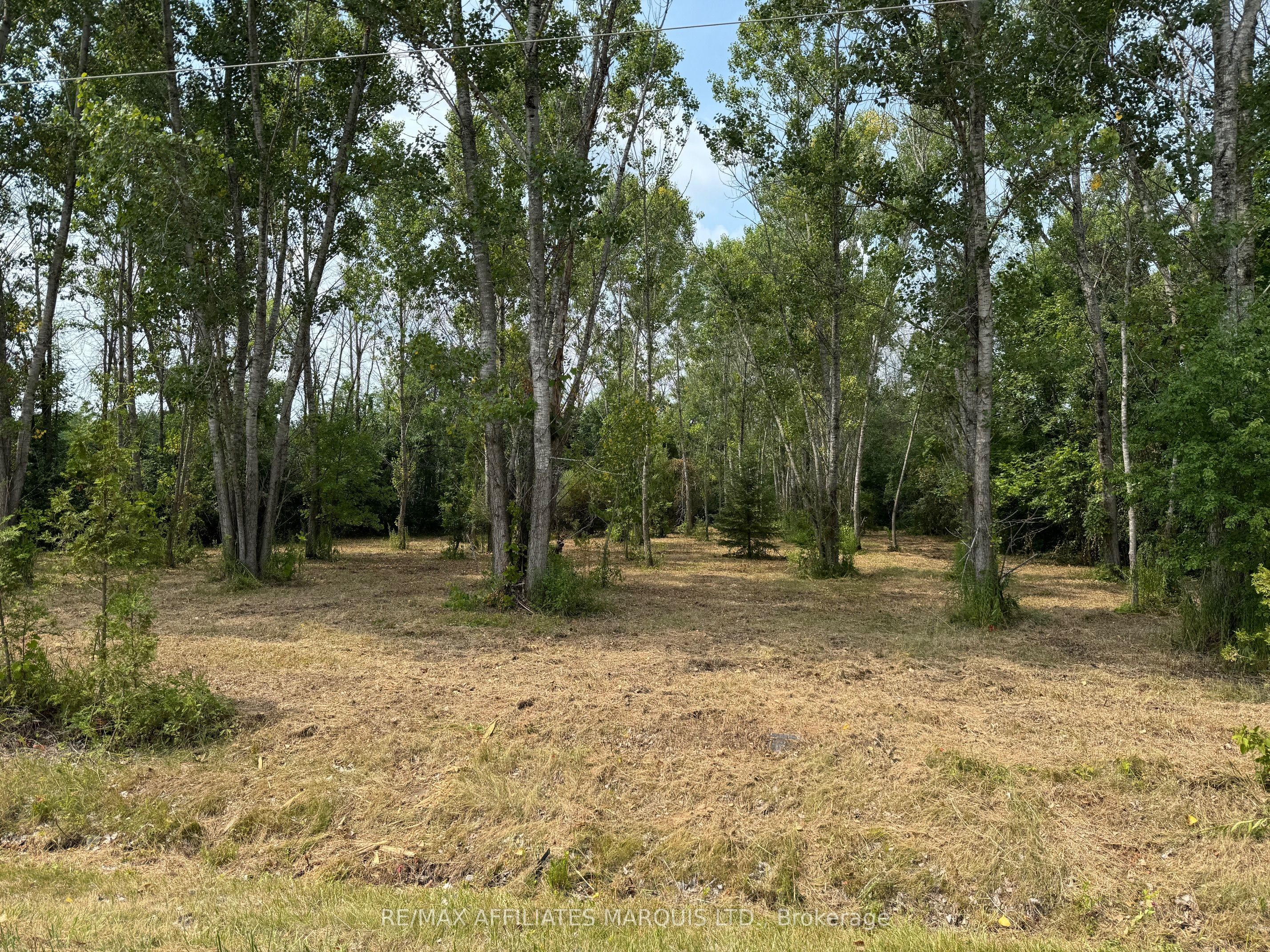 Lot Archer Road Property Photo 3