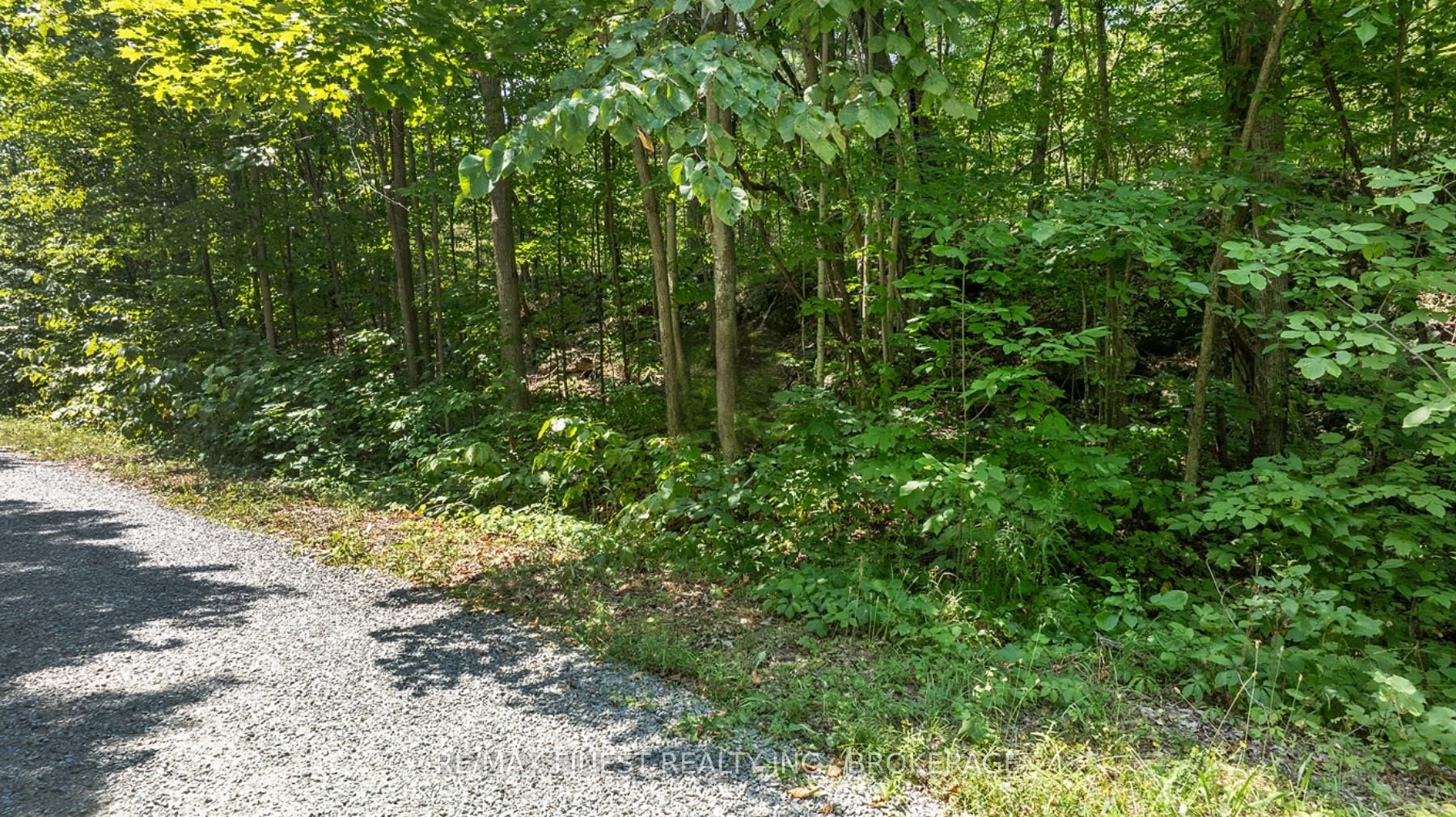 174 Hall Road Property Photo 1