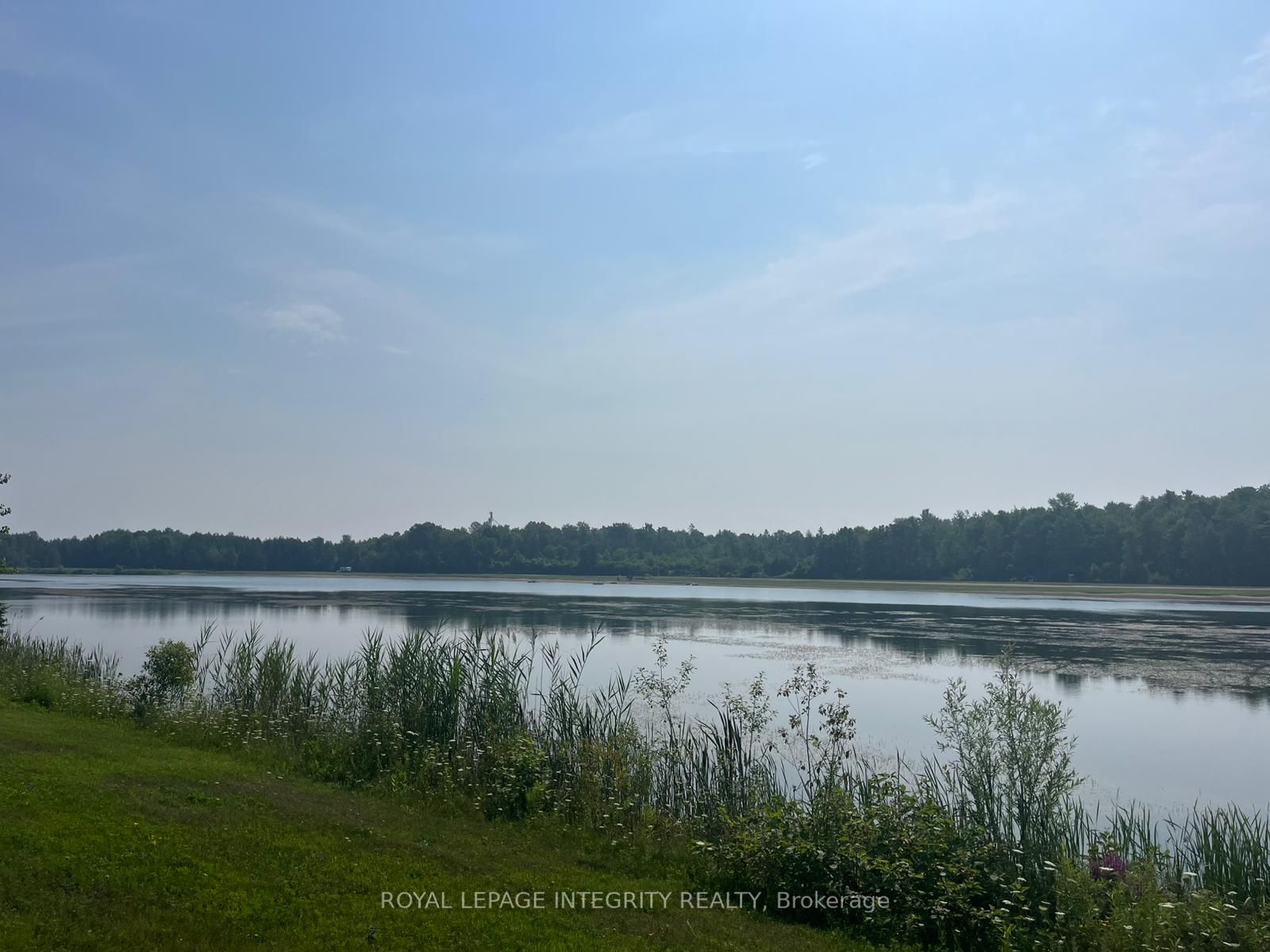 3117 Carp Road Property Photo 8
