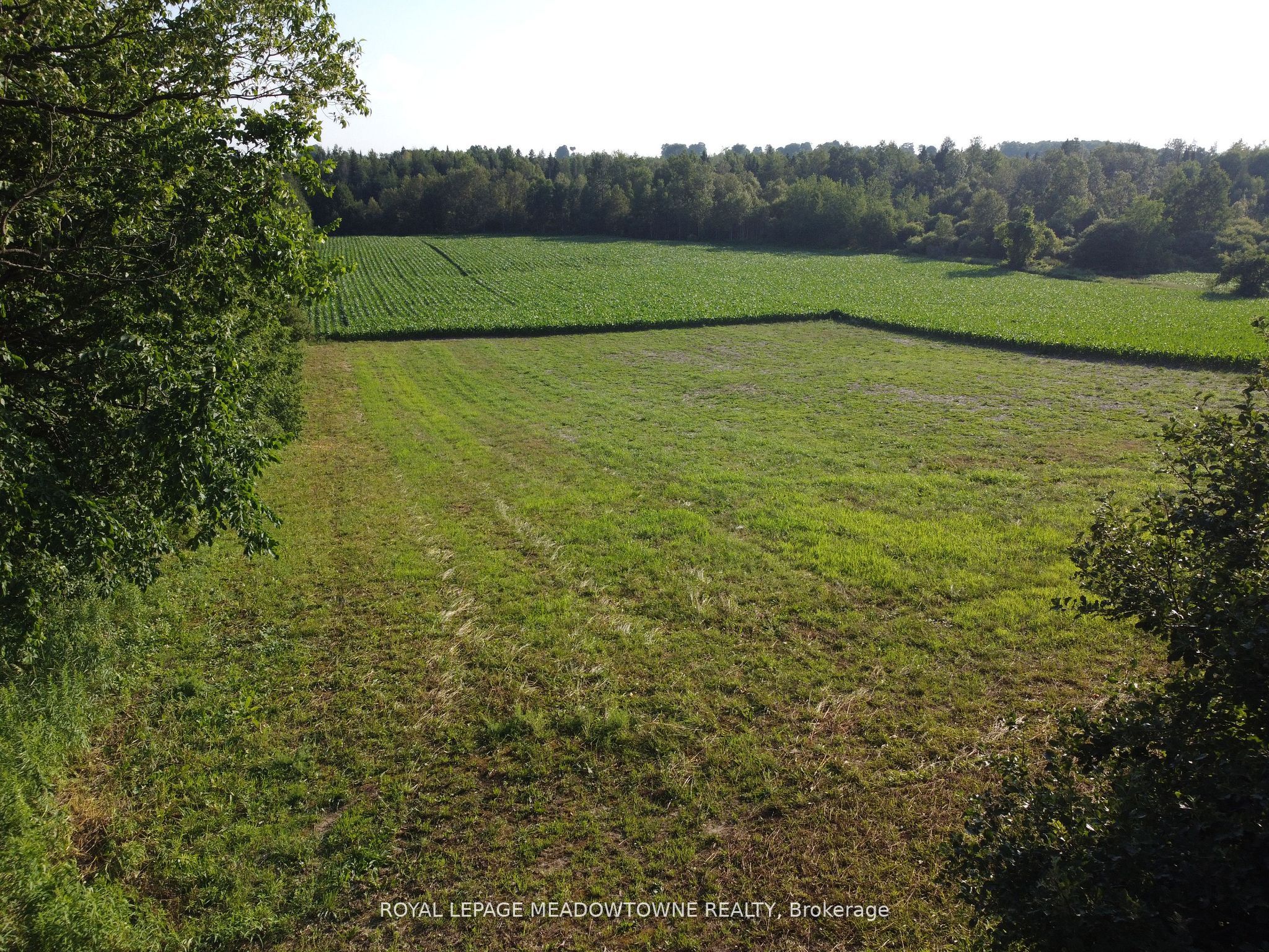 5258 3rd Line Property Photo 1