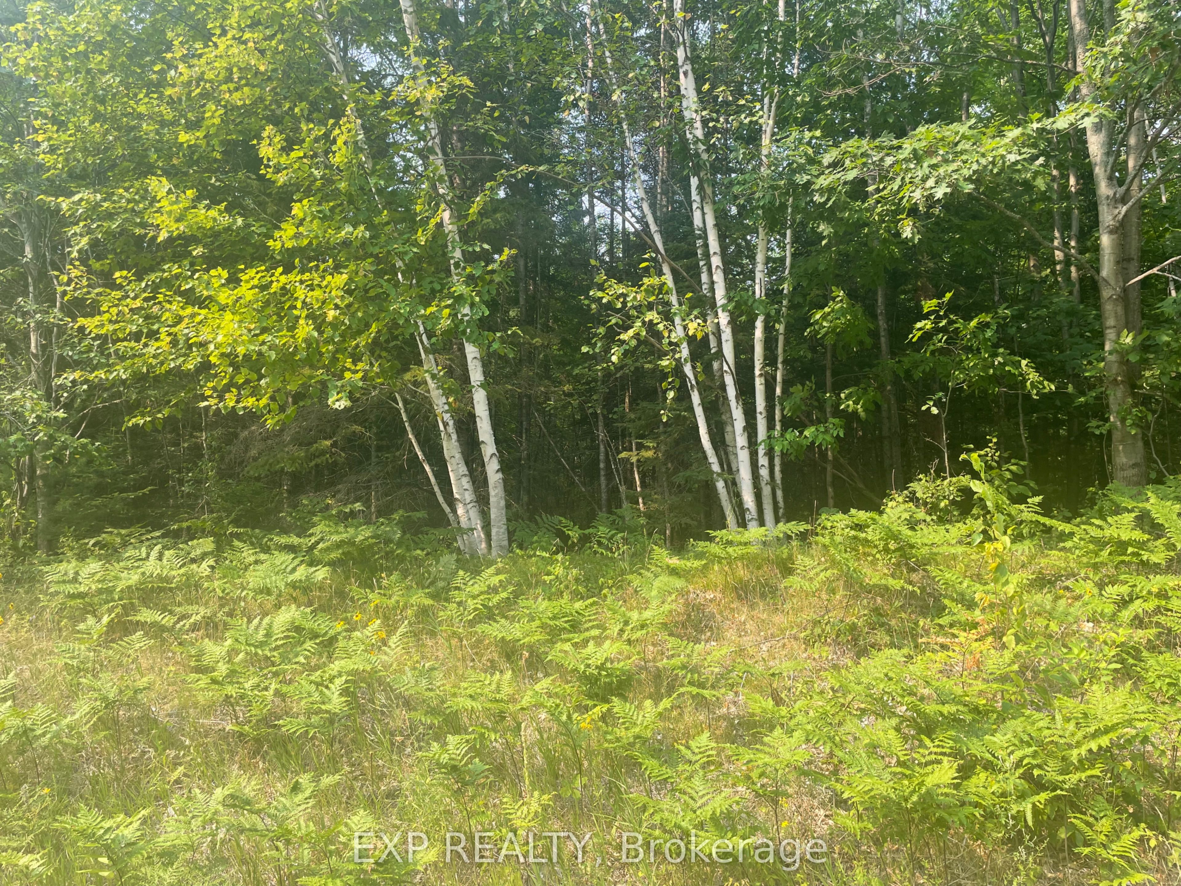 1571 Schutt Road Property Photo 1