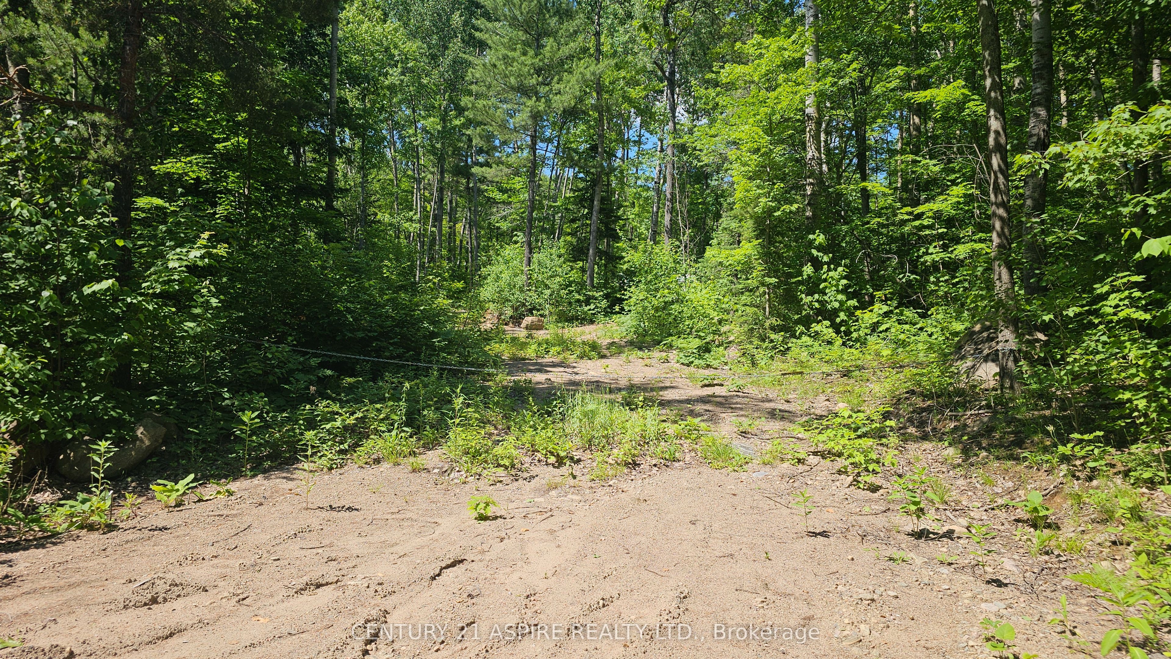 11072 Opeongo Road Property Photo 1