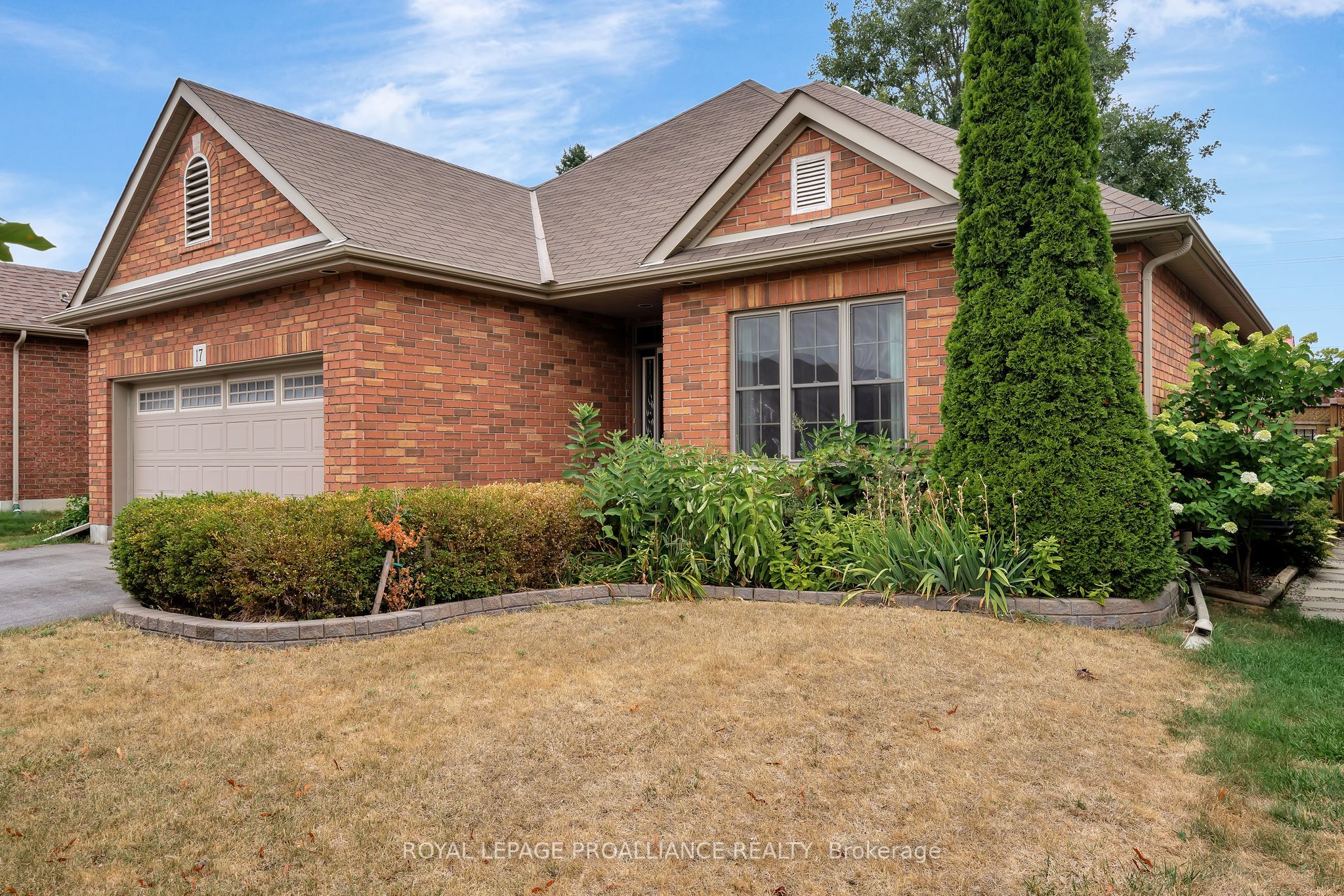 17 Gavey Street Property Photo