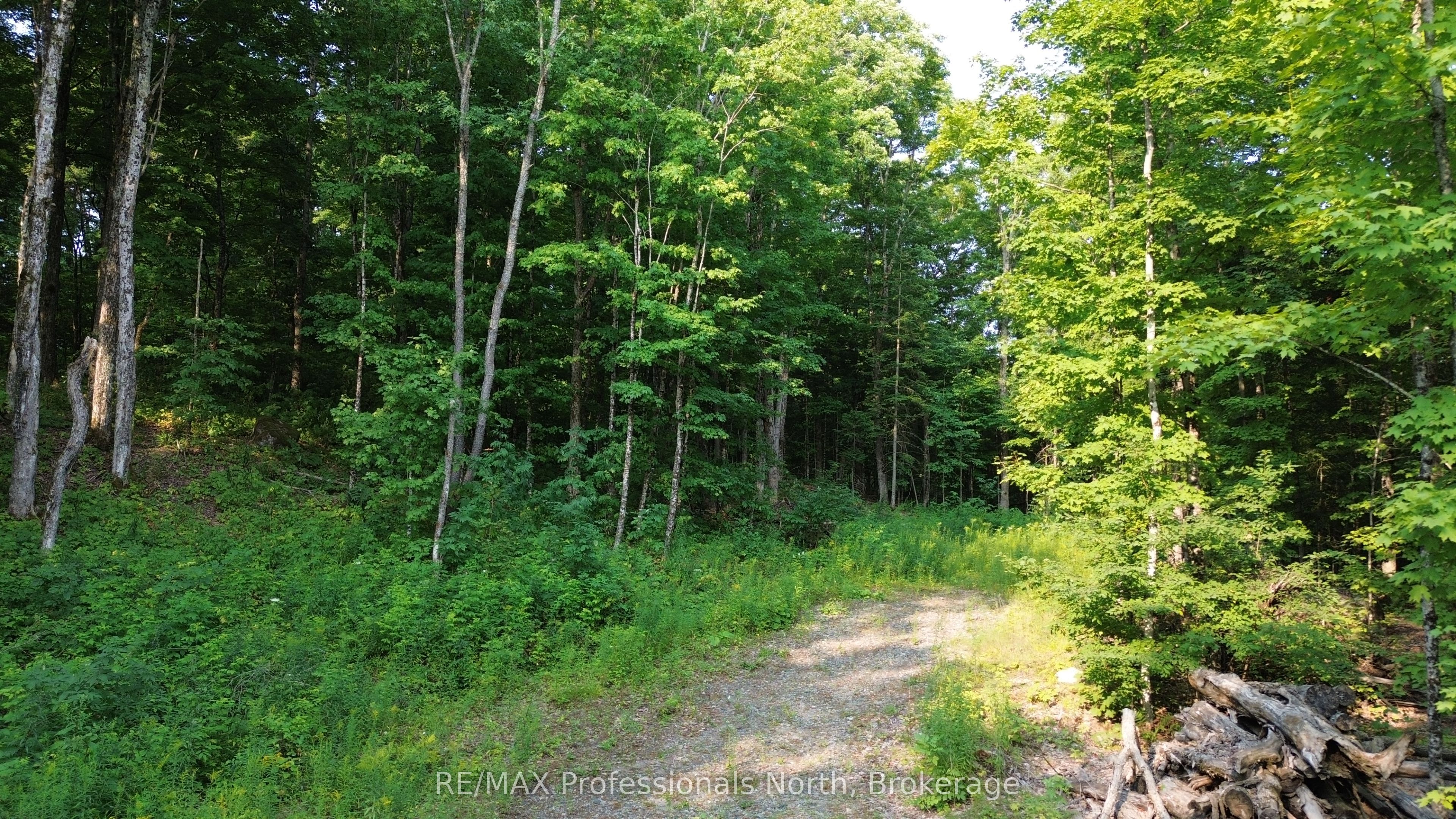1037 Loon Lake Road Property Photo 1
