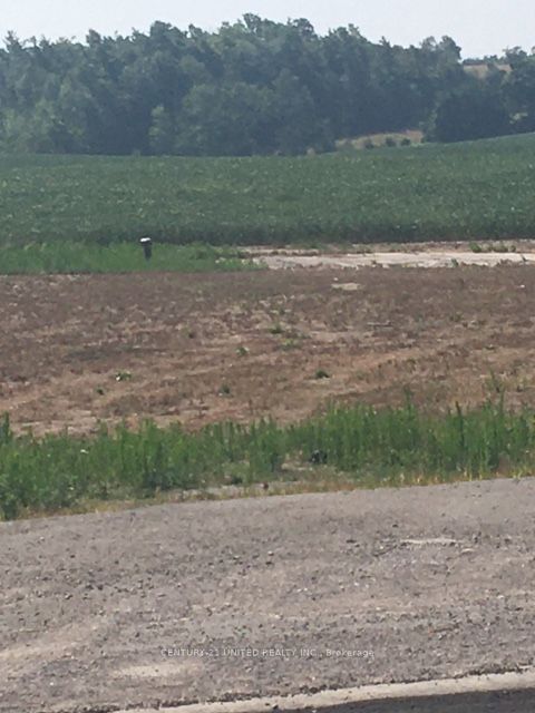 3151 County Rd 2 N/A Property Photo 1