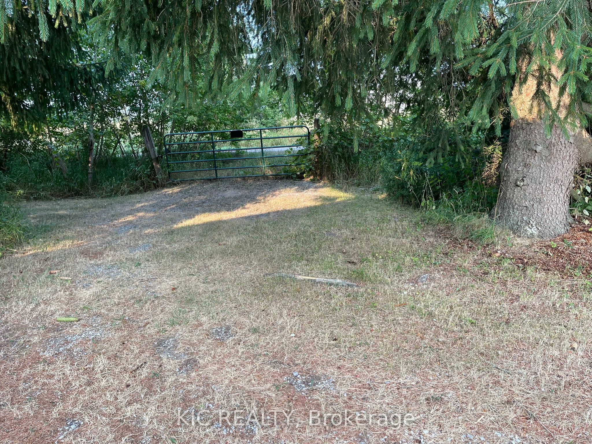 2183 Asphodel 5 Line Property Photo 4