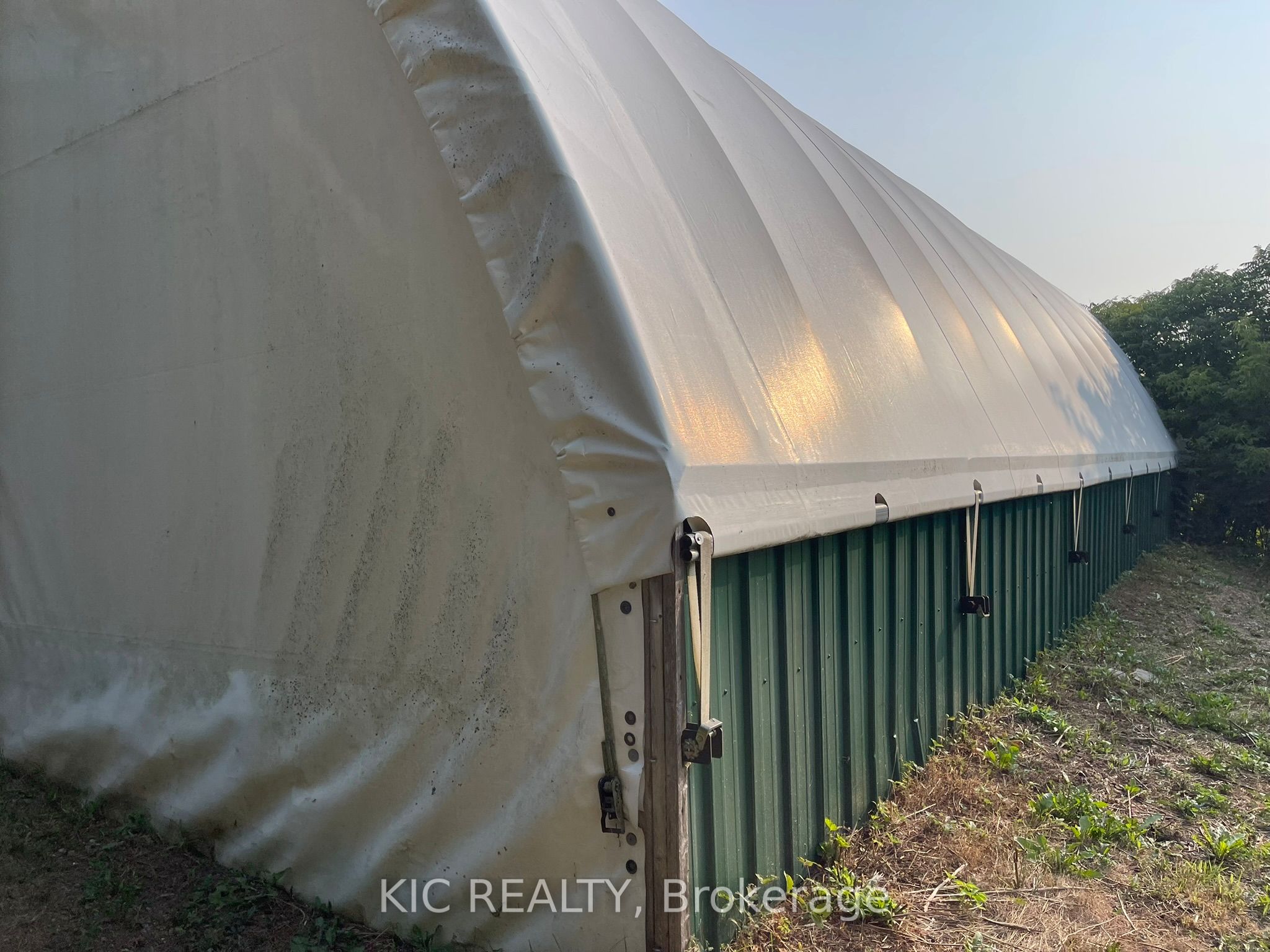 2183 Asphodel 5 Line Property Photo 6