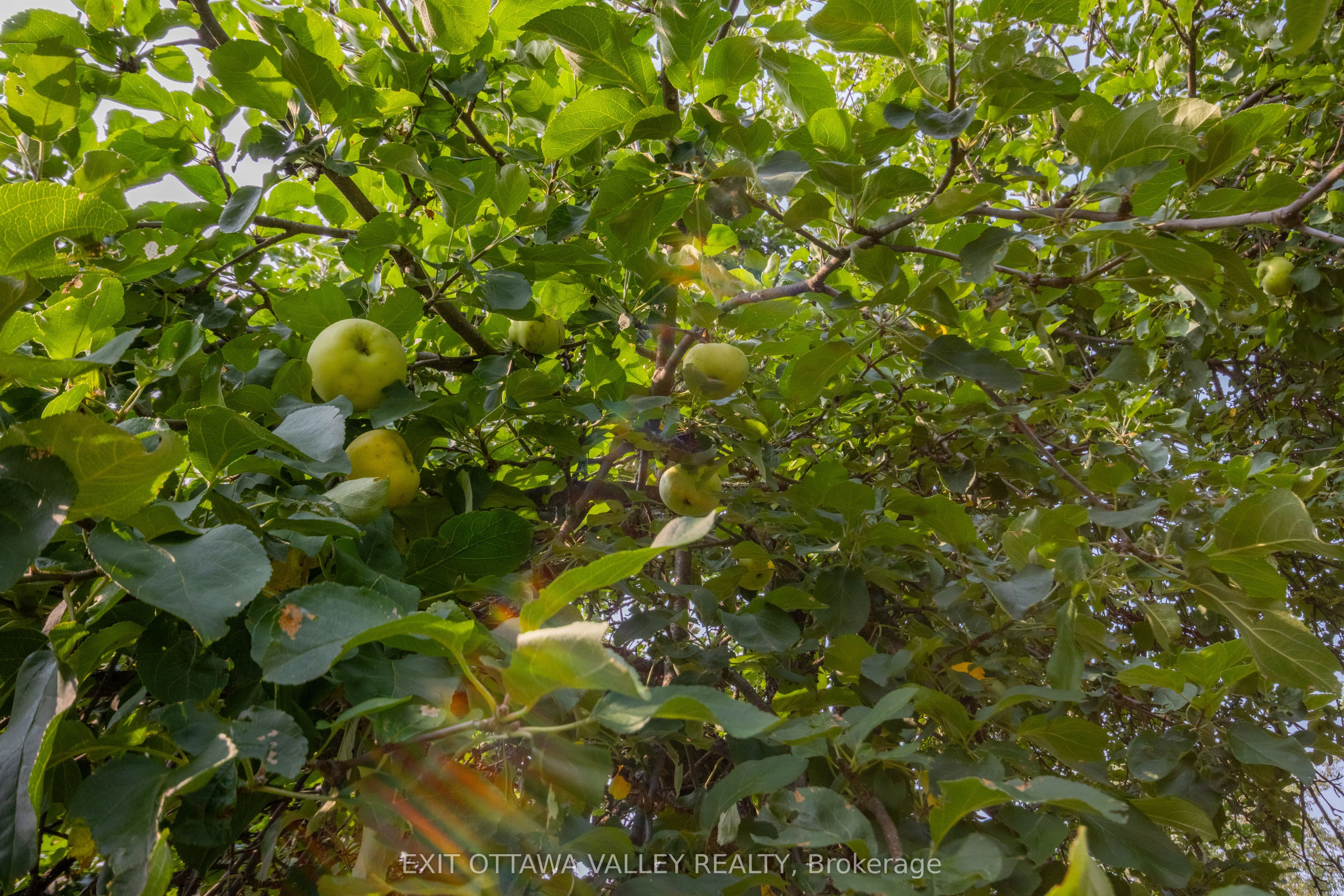 53 Burchat Street Property Photo 13