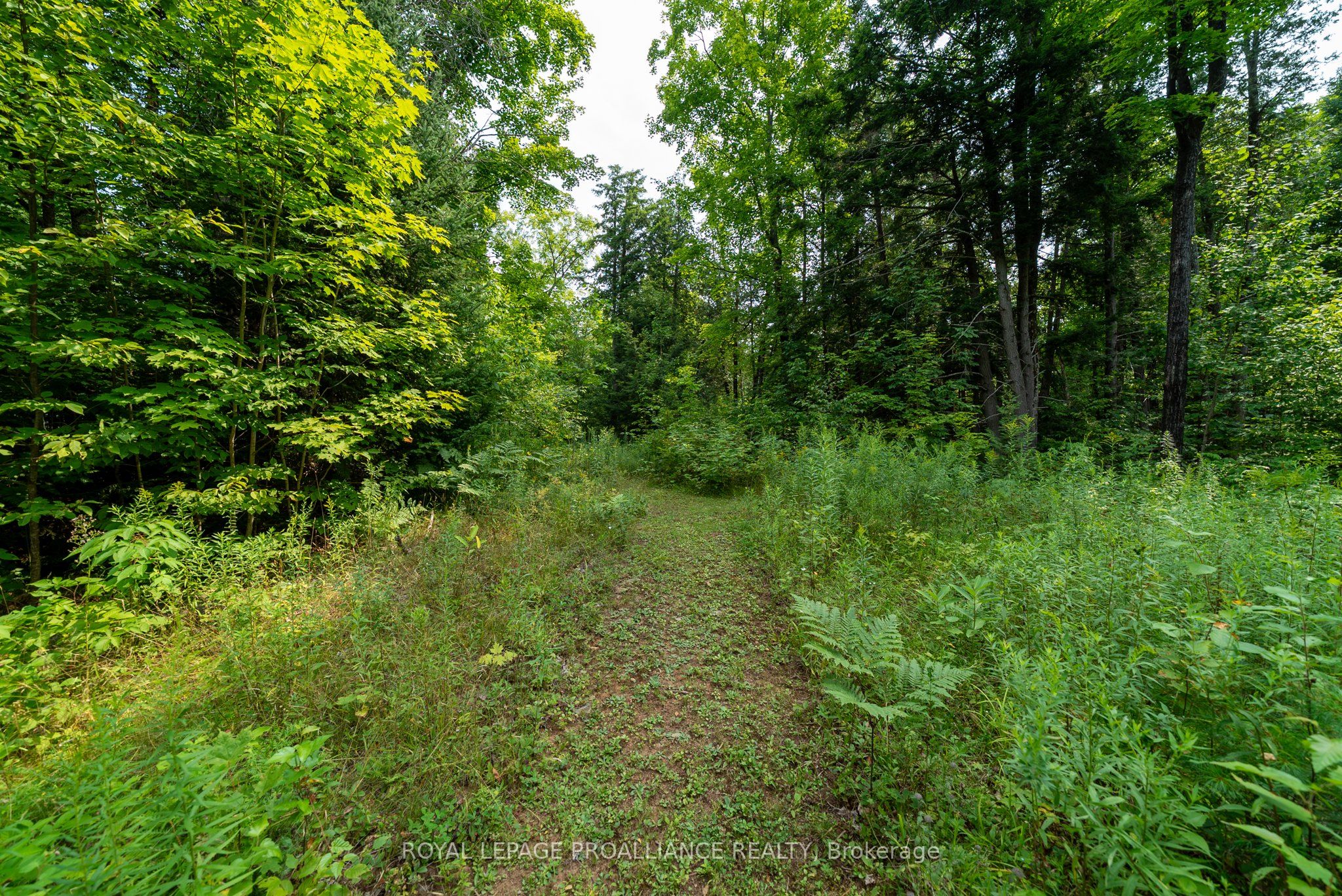 130 O'donnell Road Property Photo 1