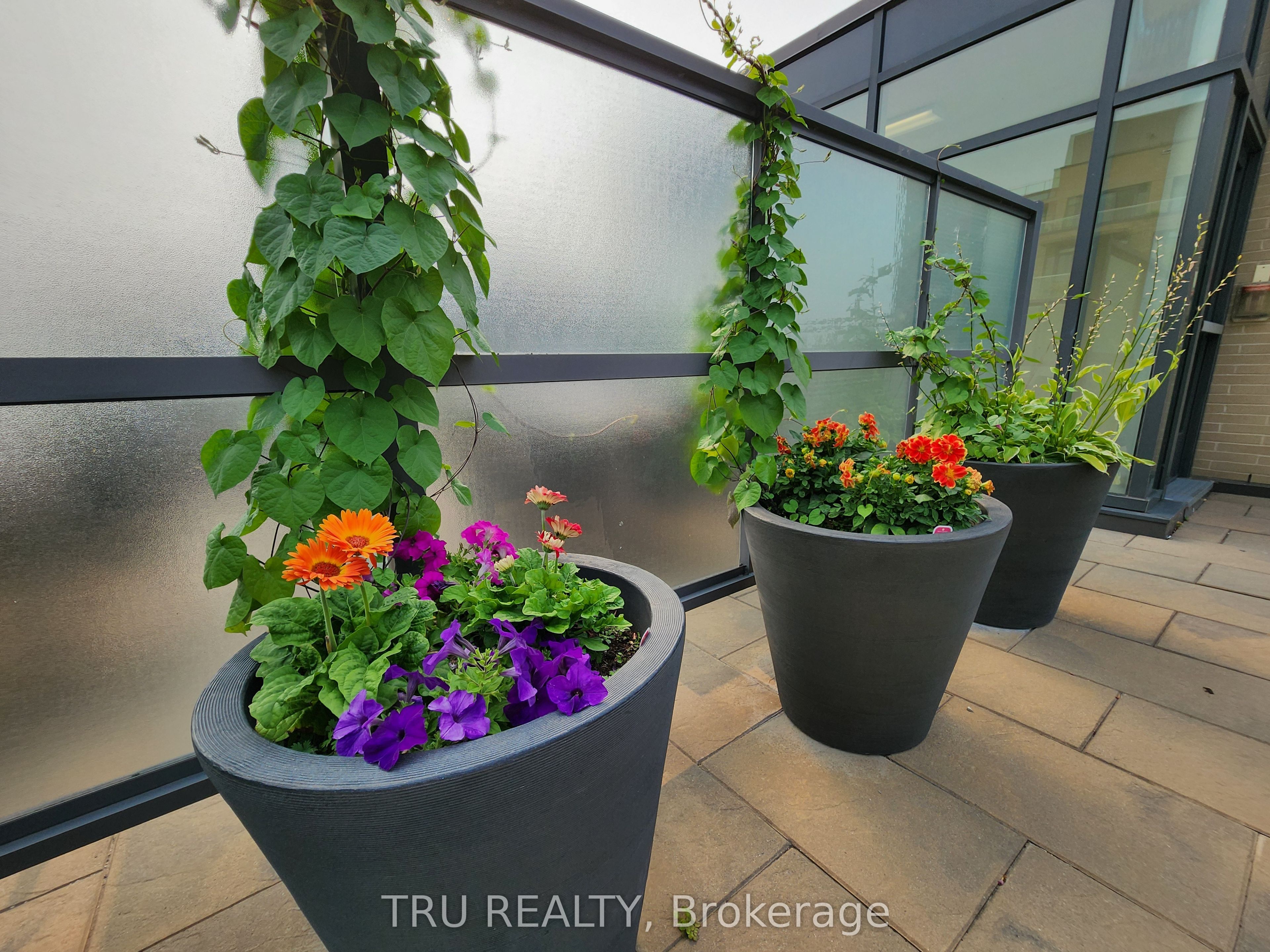 101 Richmond Road 609 Property Photo 40