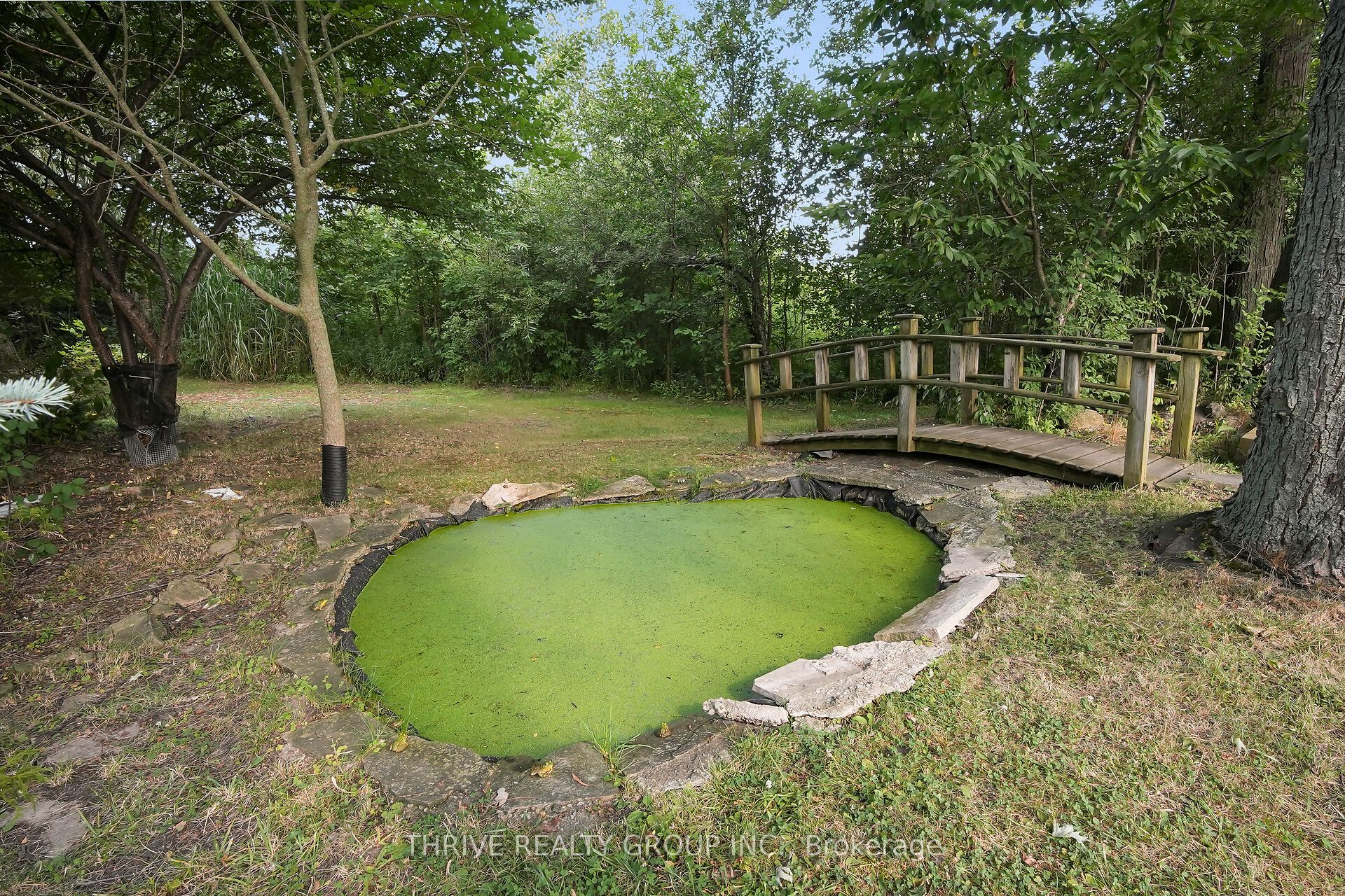 22049 Hyde Park Road Property Photo 19