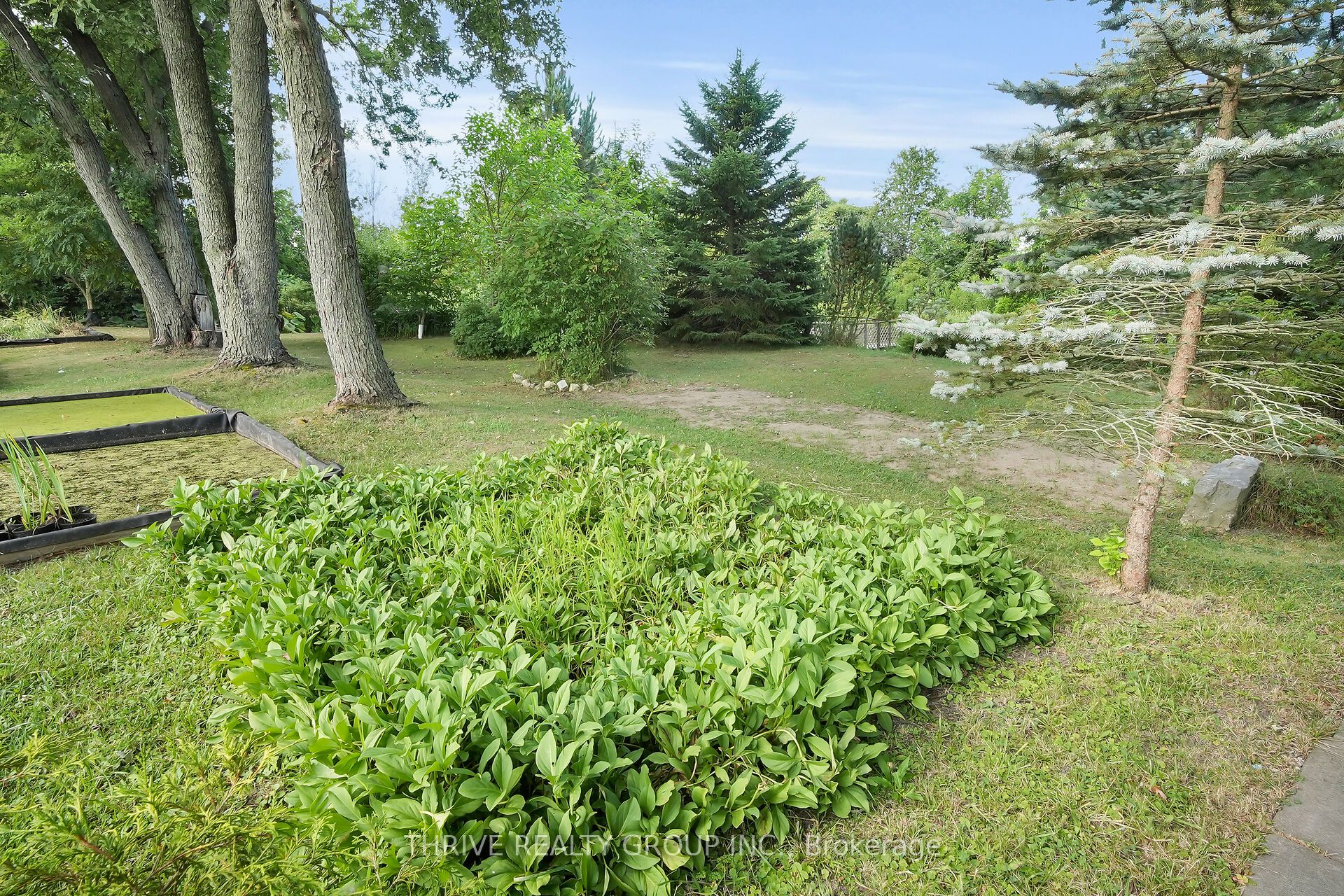 22049 Hyde Park Road Property Photo 20