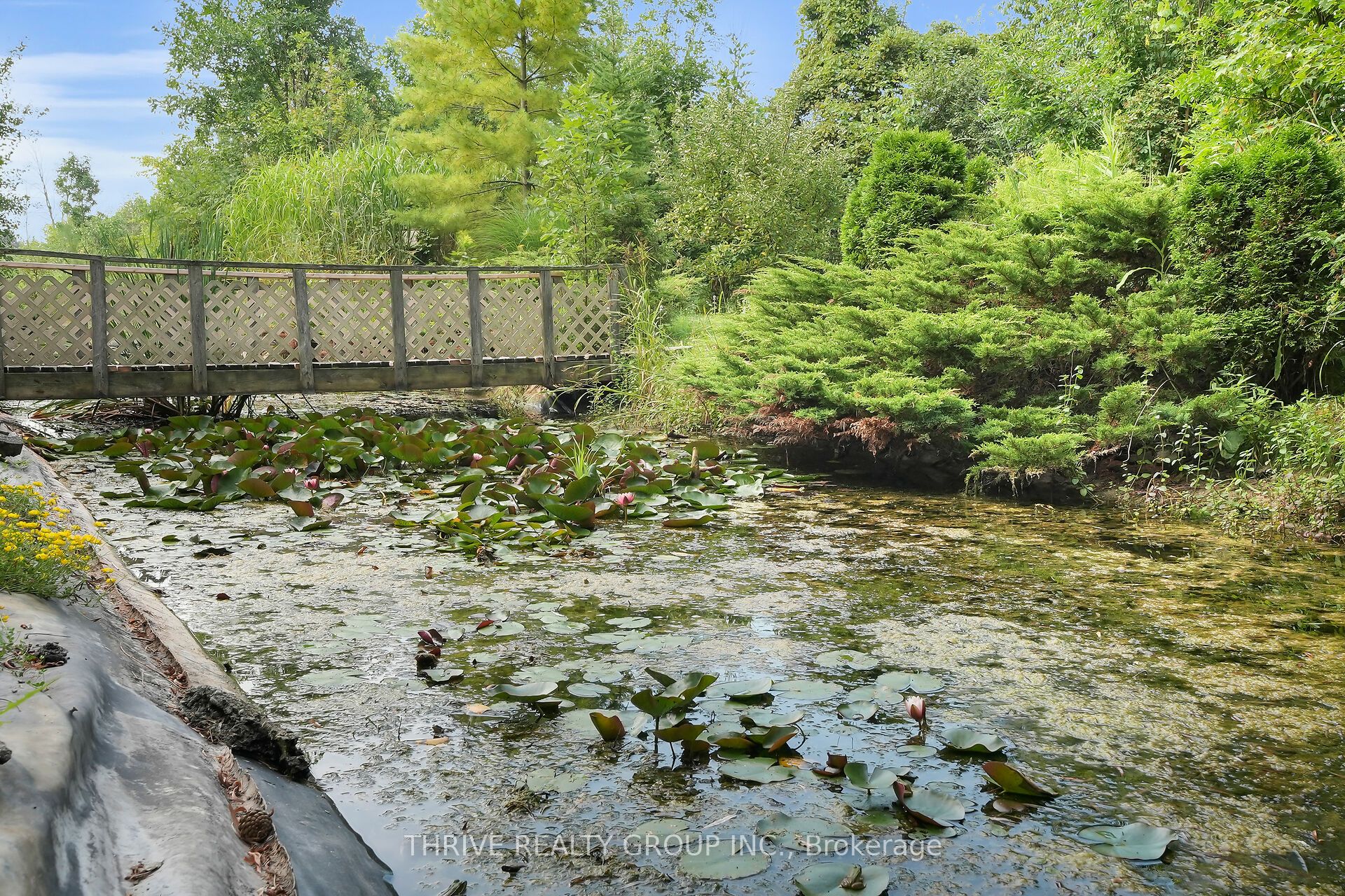 22049 Hyde Park Road Property Photo 21