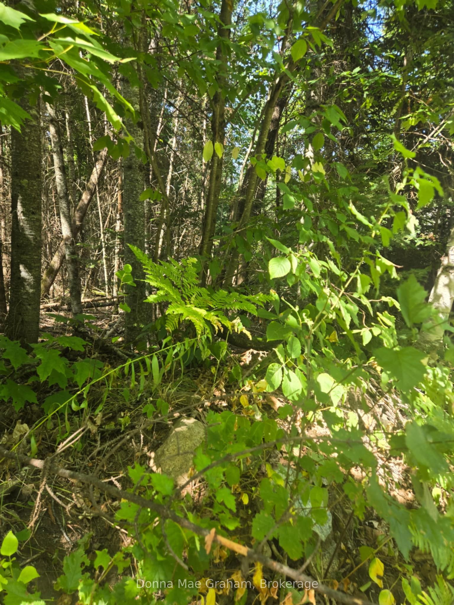 0 E Macduff Road Acres E Property Photo 1