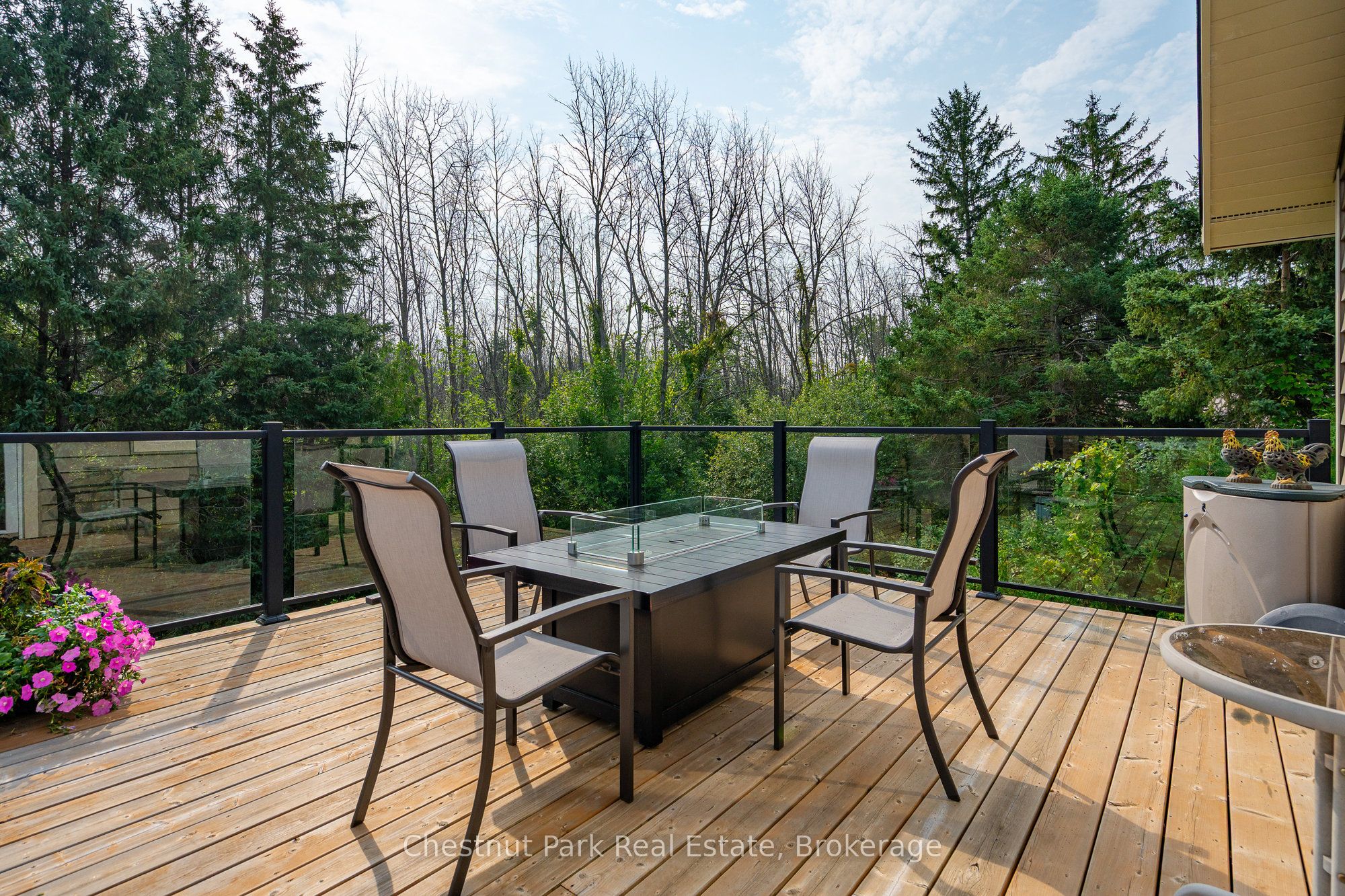 119 Martin Grove Property Photo 25