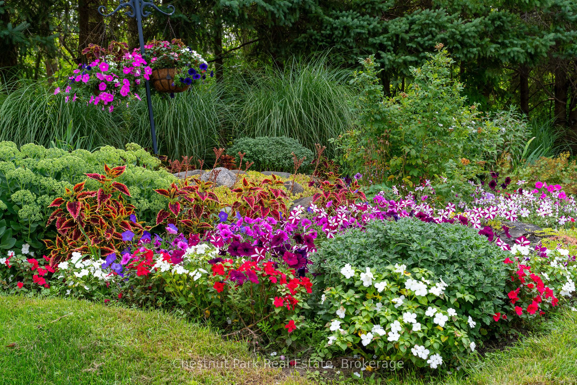 119 Martin Grove Property Photo 27