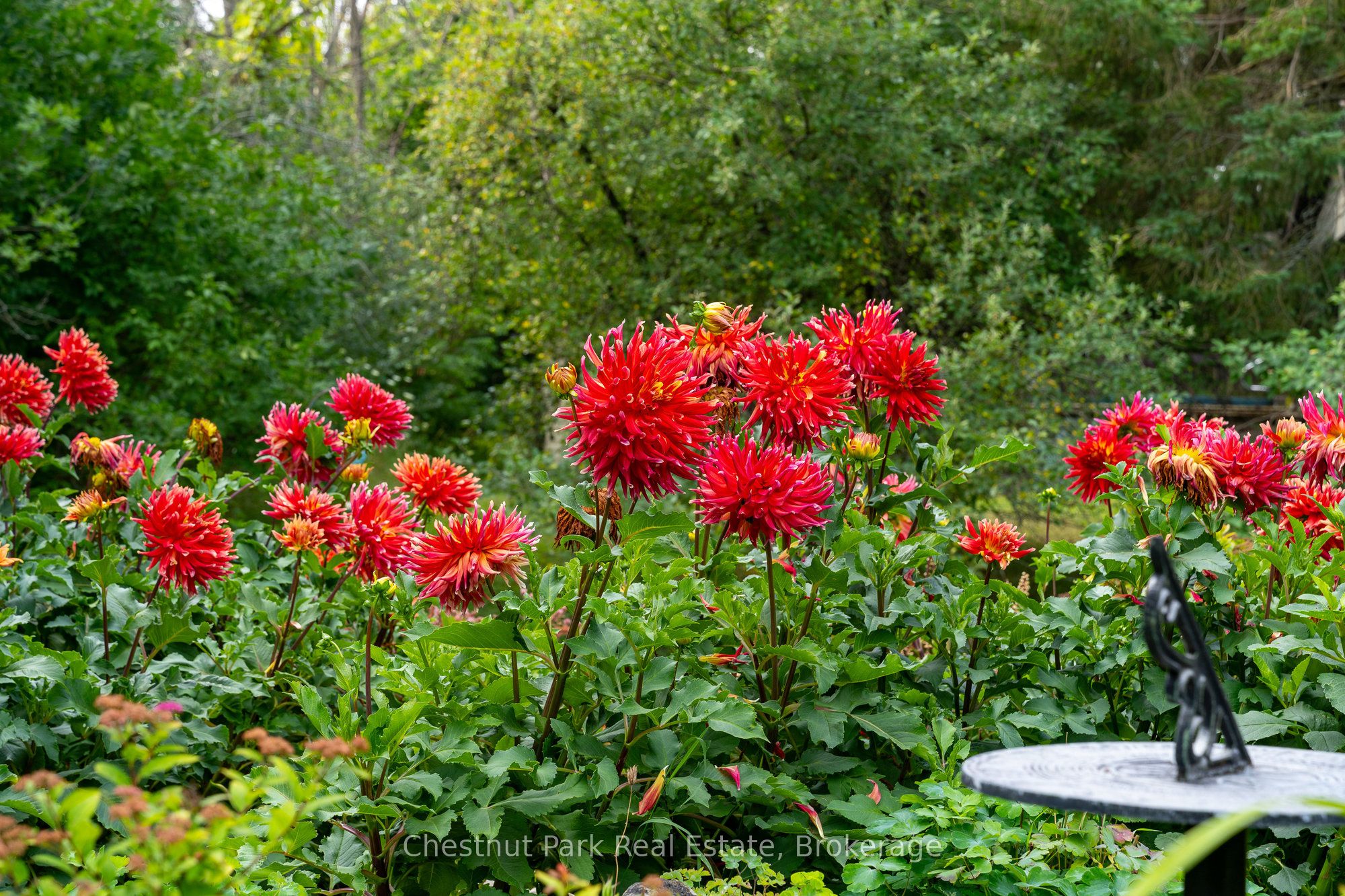 119 Martin Grove Property Photo 33