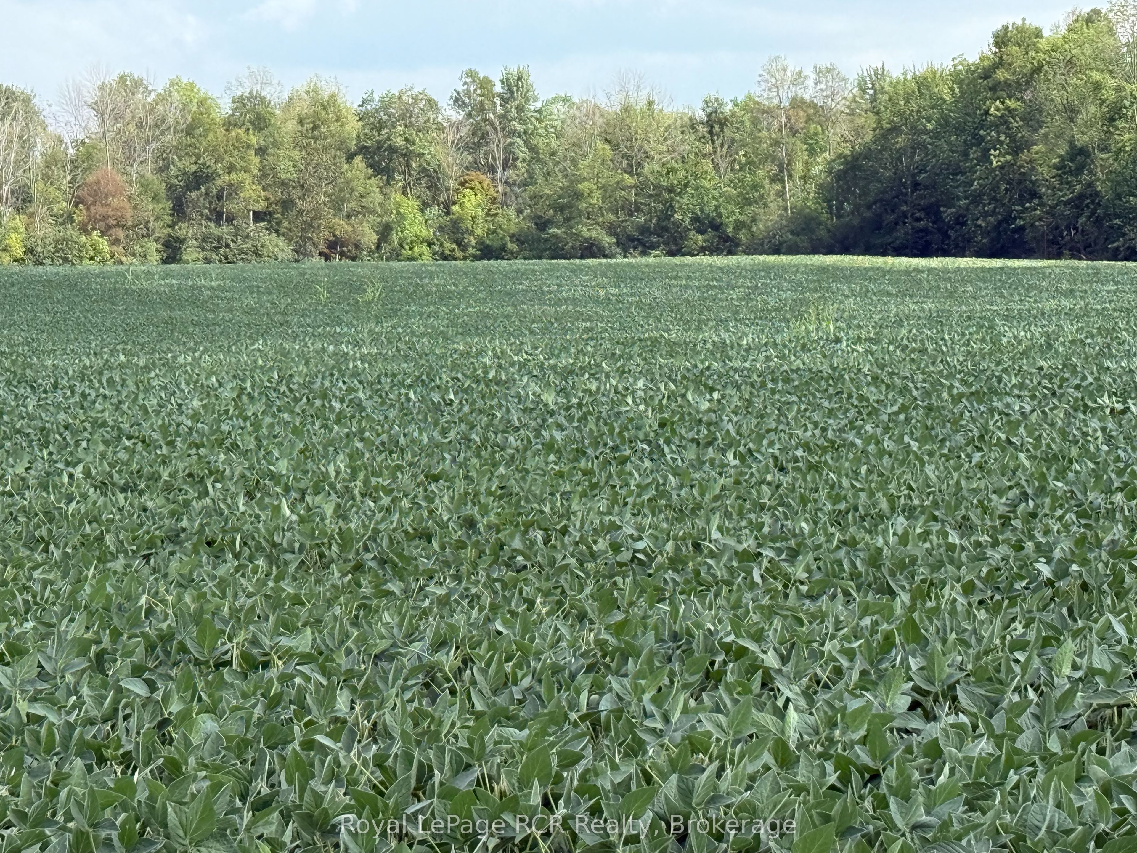 Lot 25 7 Concession Property Photo 1