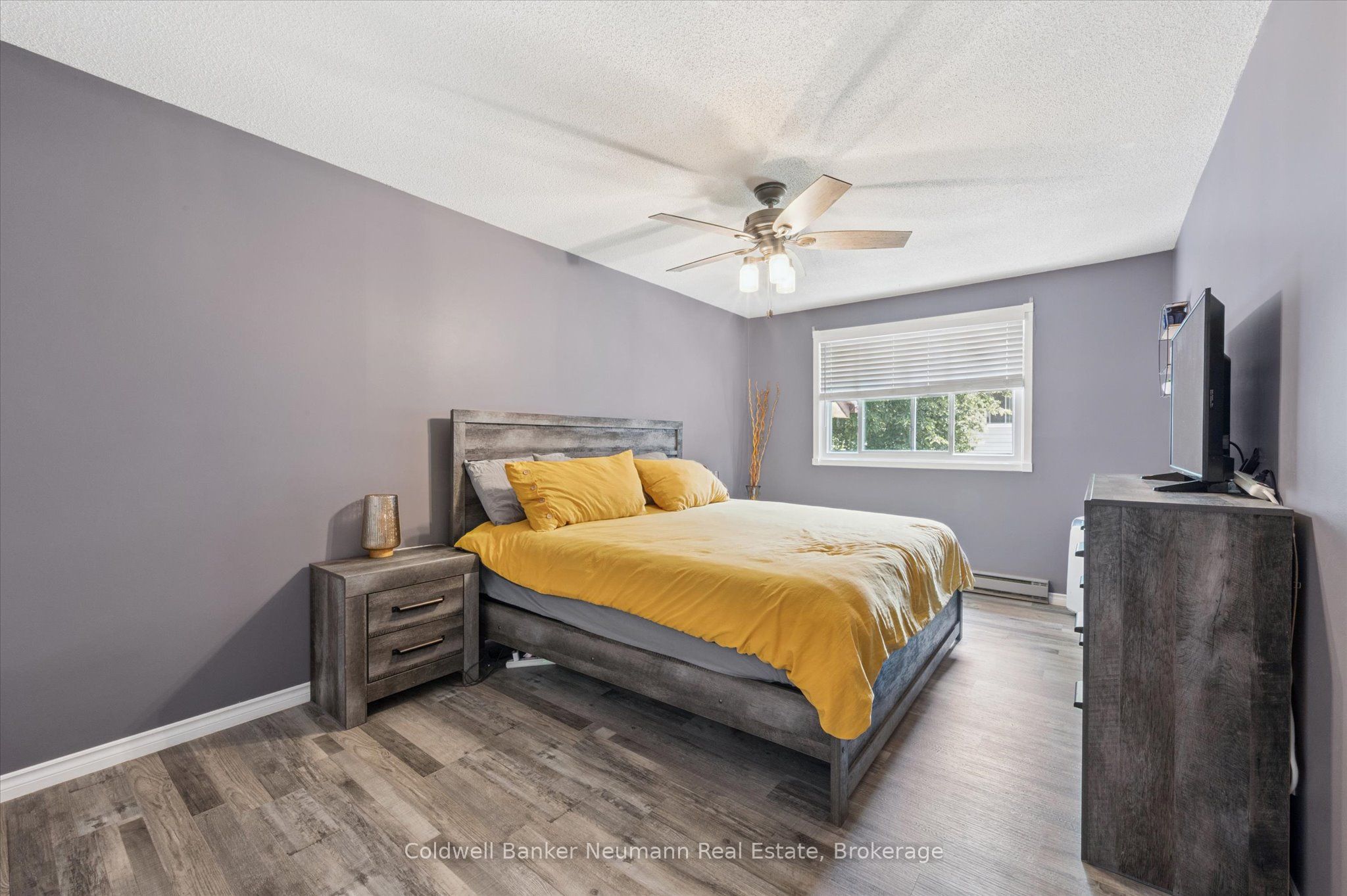 453 Albert Street 14 Property Photo 14