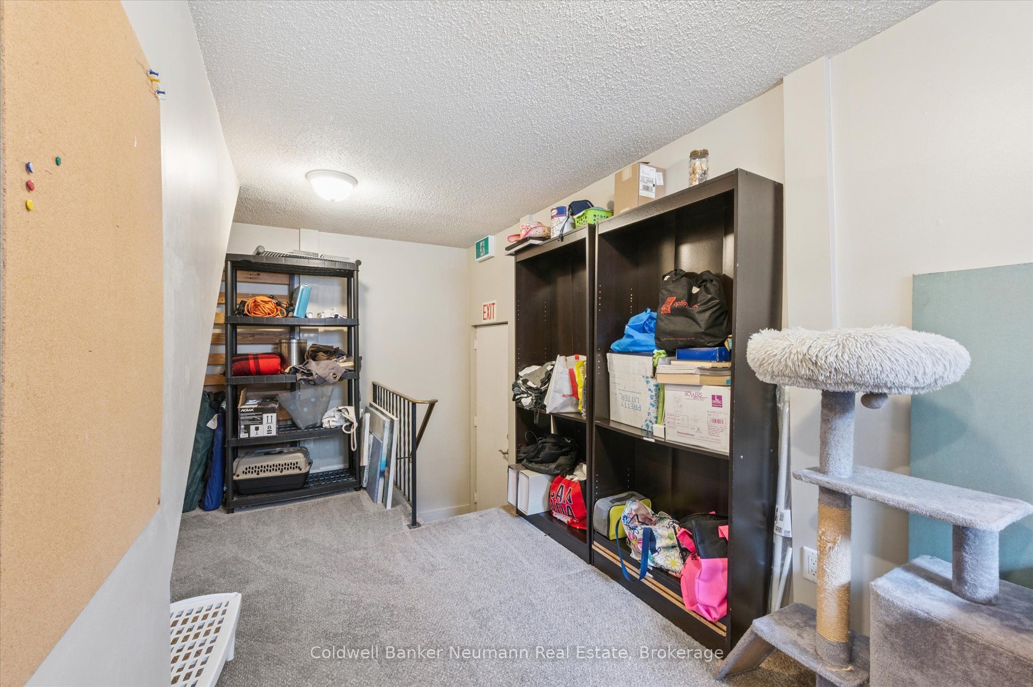 453 Albert Street 14 Property Photo 23