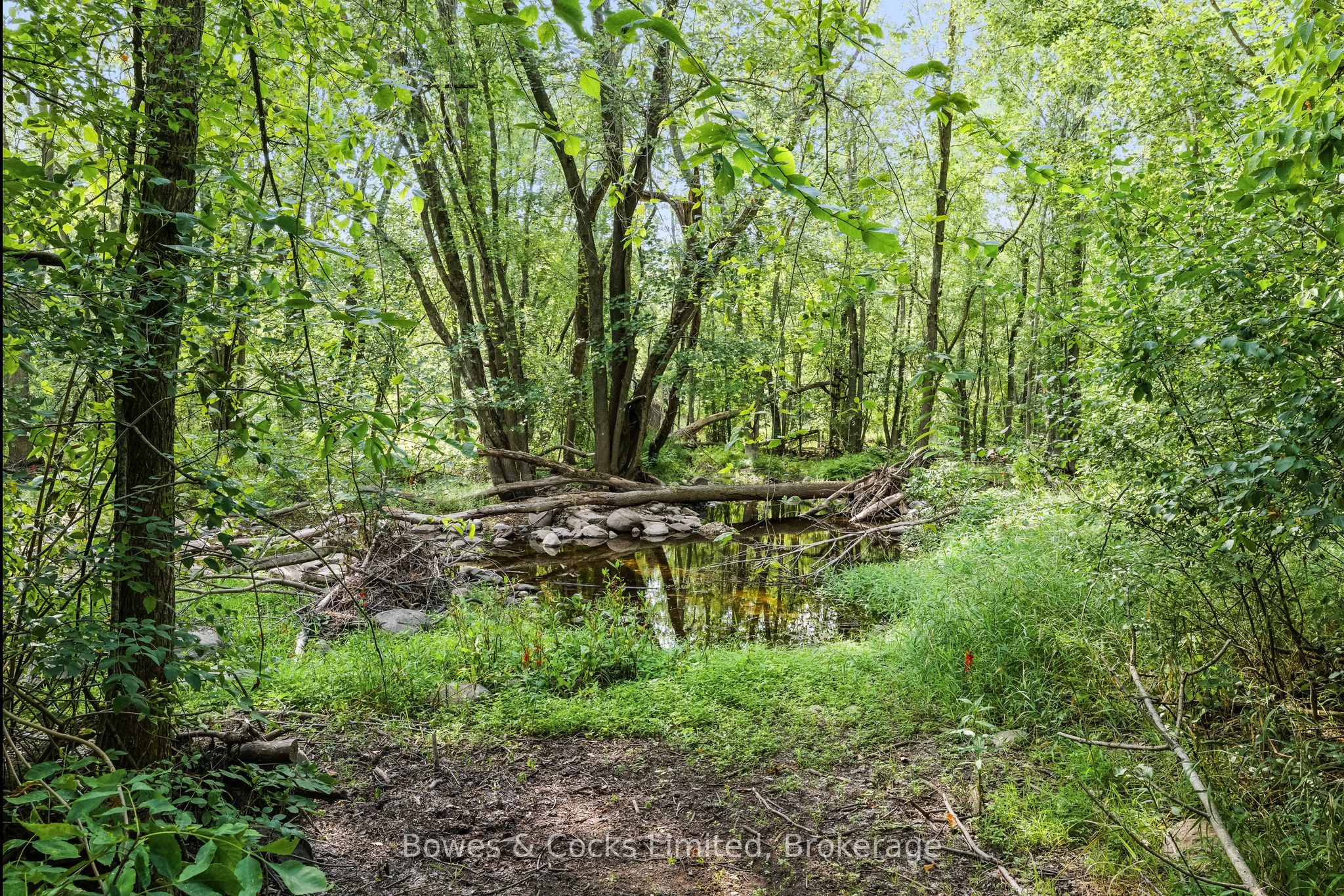 180 Riverside Drive Property Photo 11