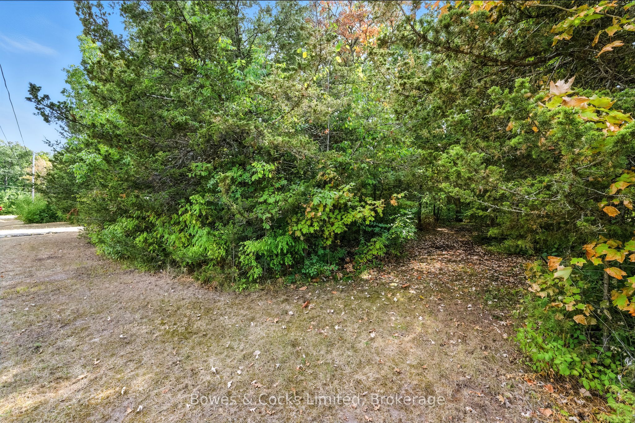 180 Riverside Drive Property Photo 13