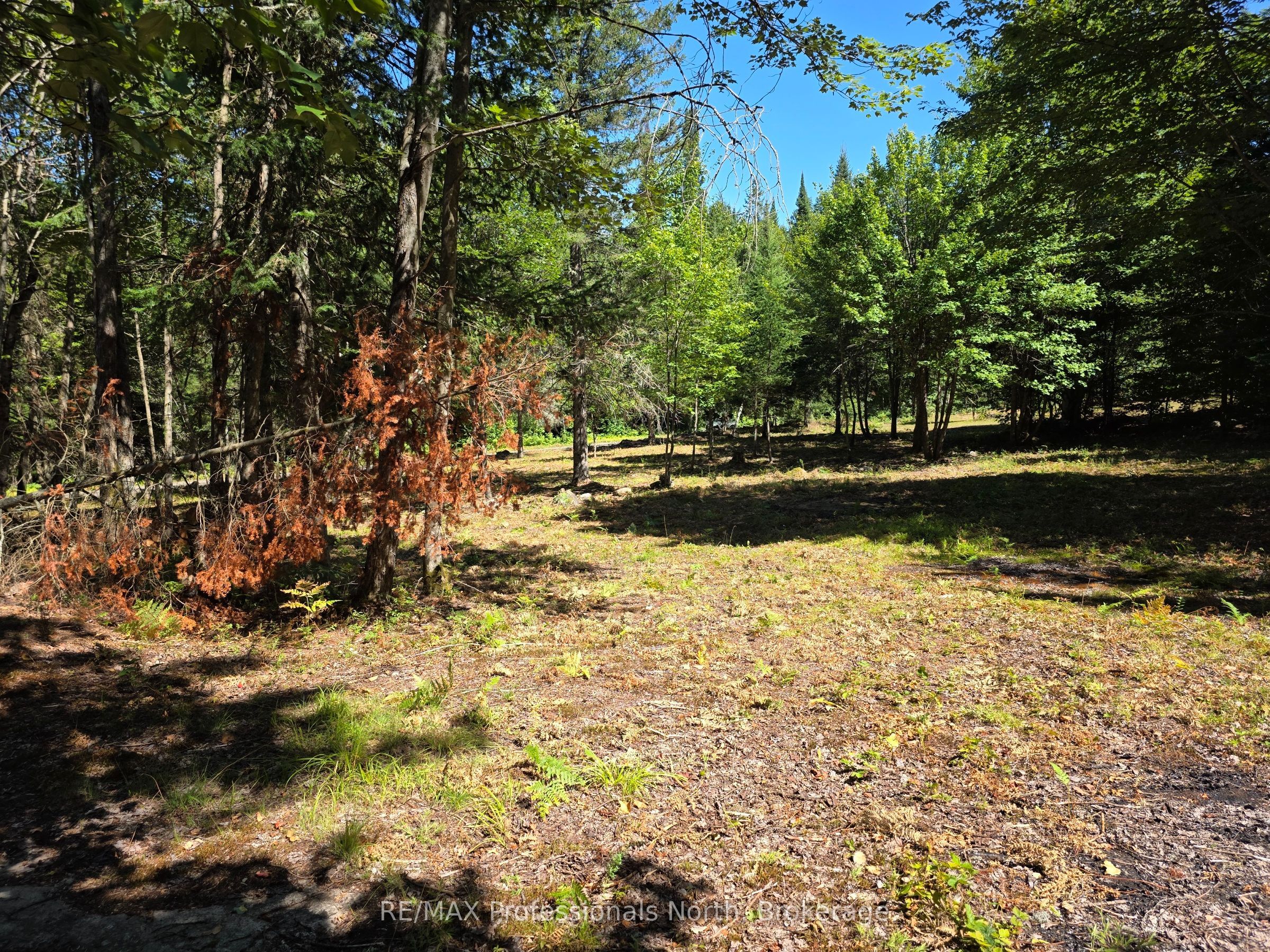 00 Whitney Road Property Photo 1