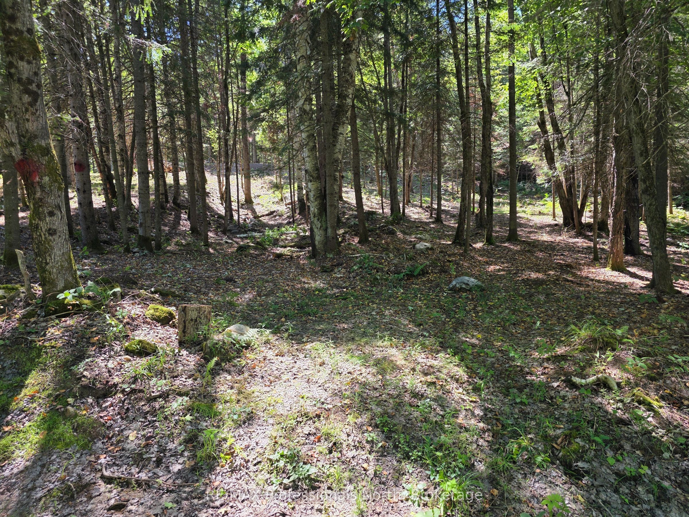 00 Whitney Road Property Photo 2