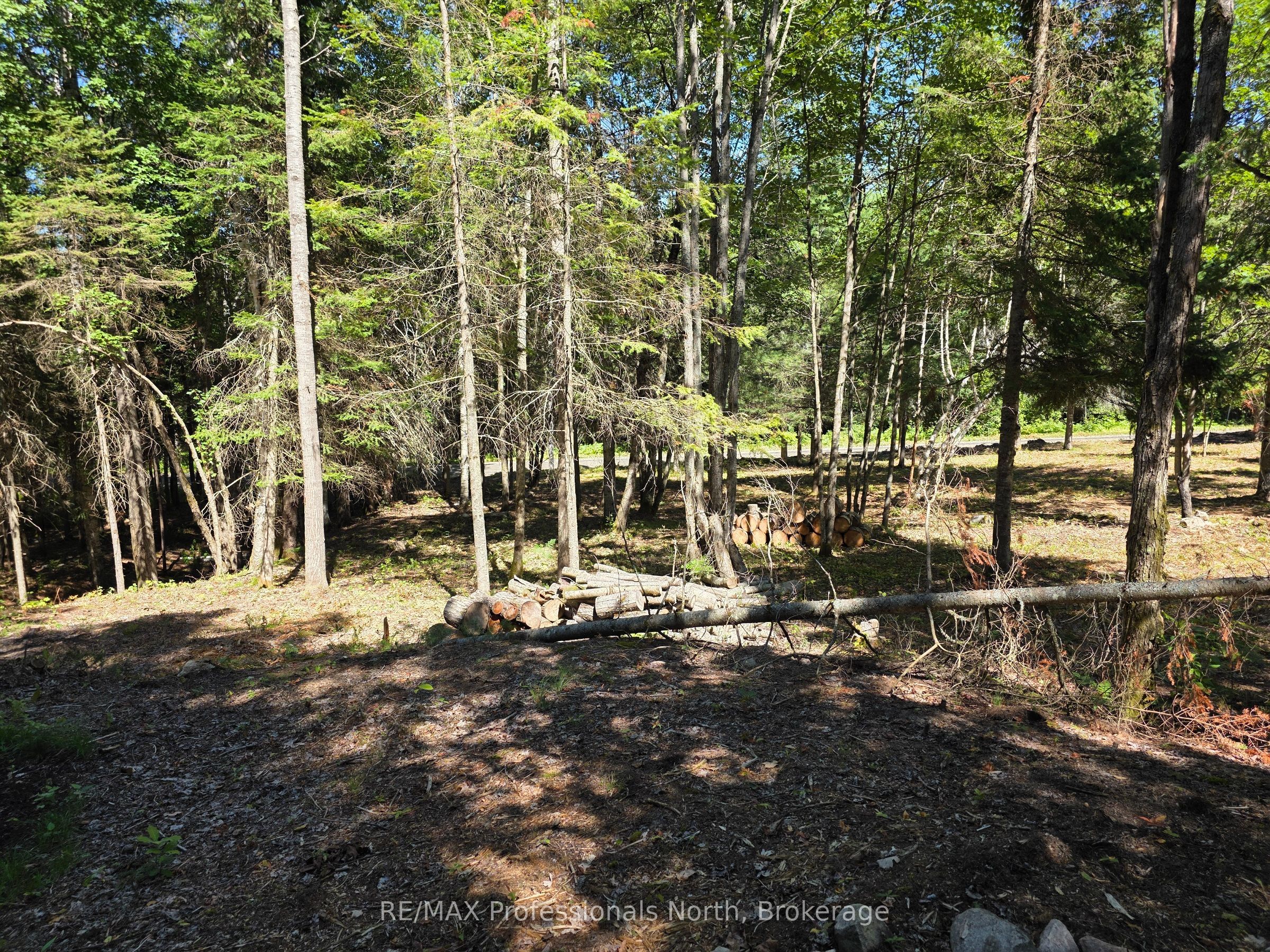 00 Whitney Road Property Photo 9