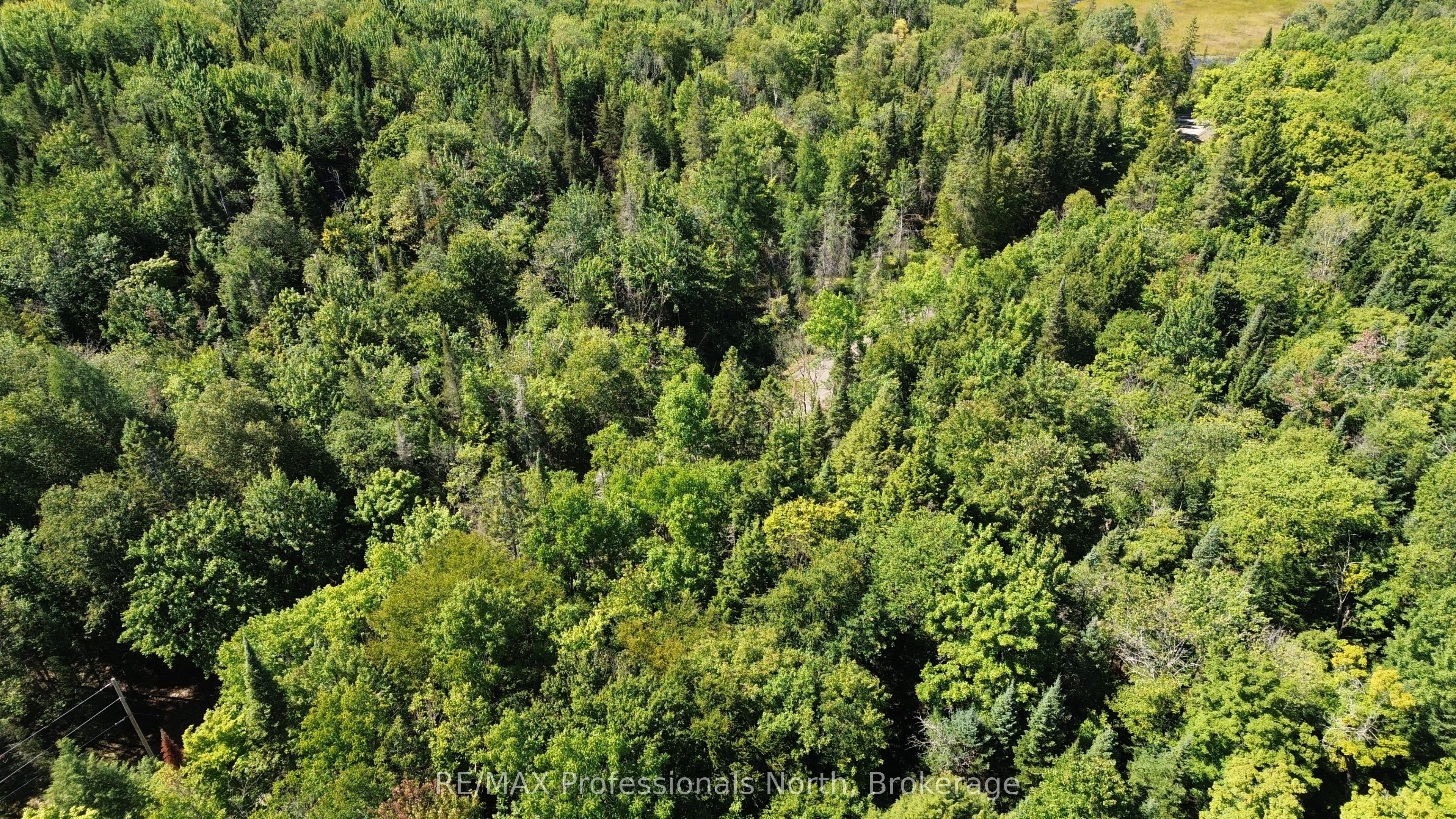 00 Whitney Road Property Photo 15